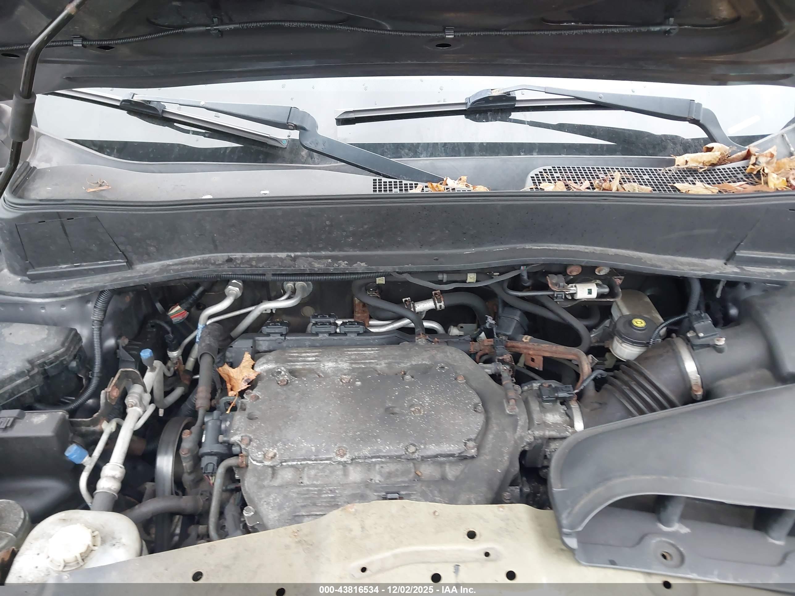 HONDA PILOT image 10