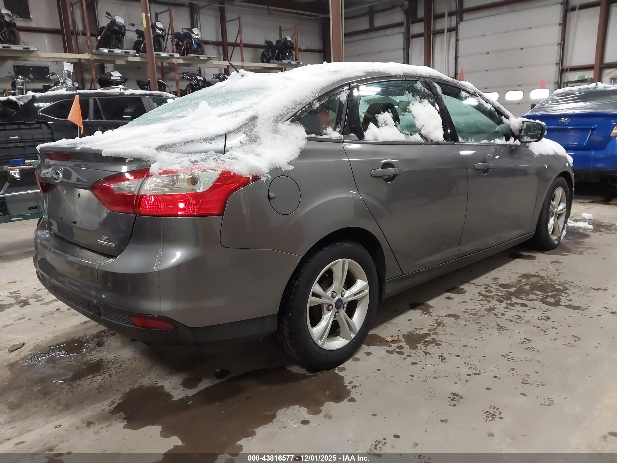 FORD FOCUS image 4