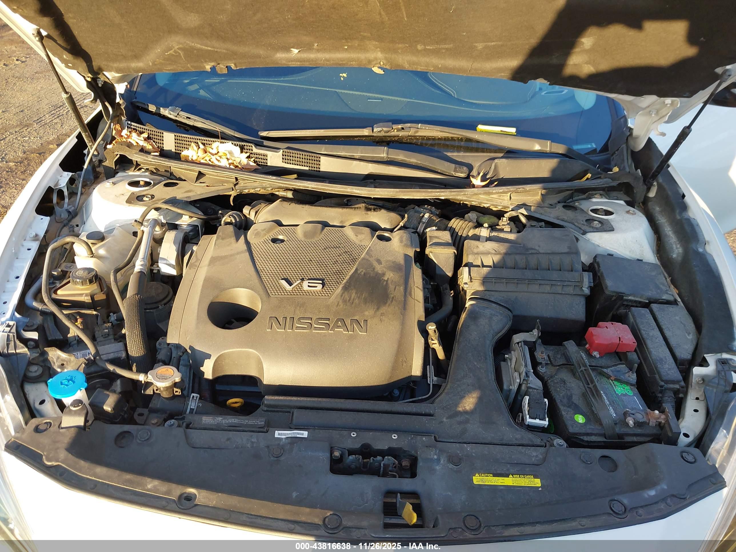 NISSAN MAXIMA image 10