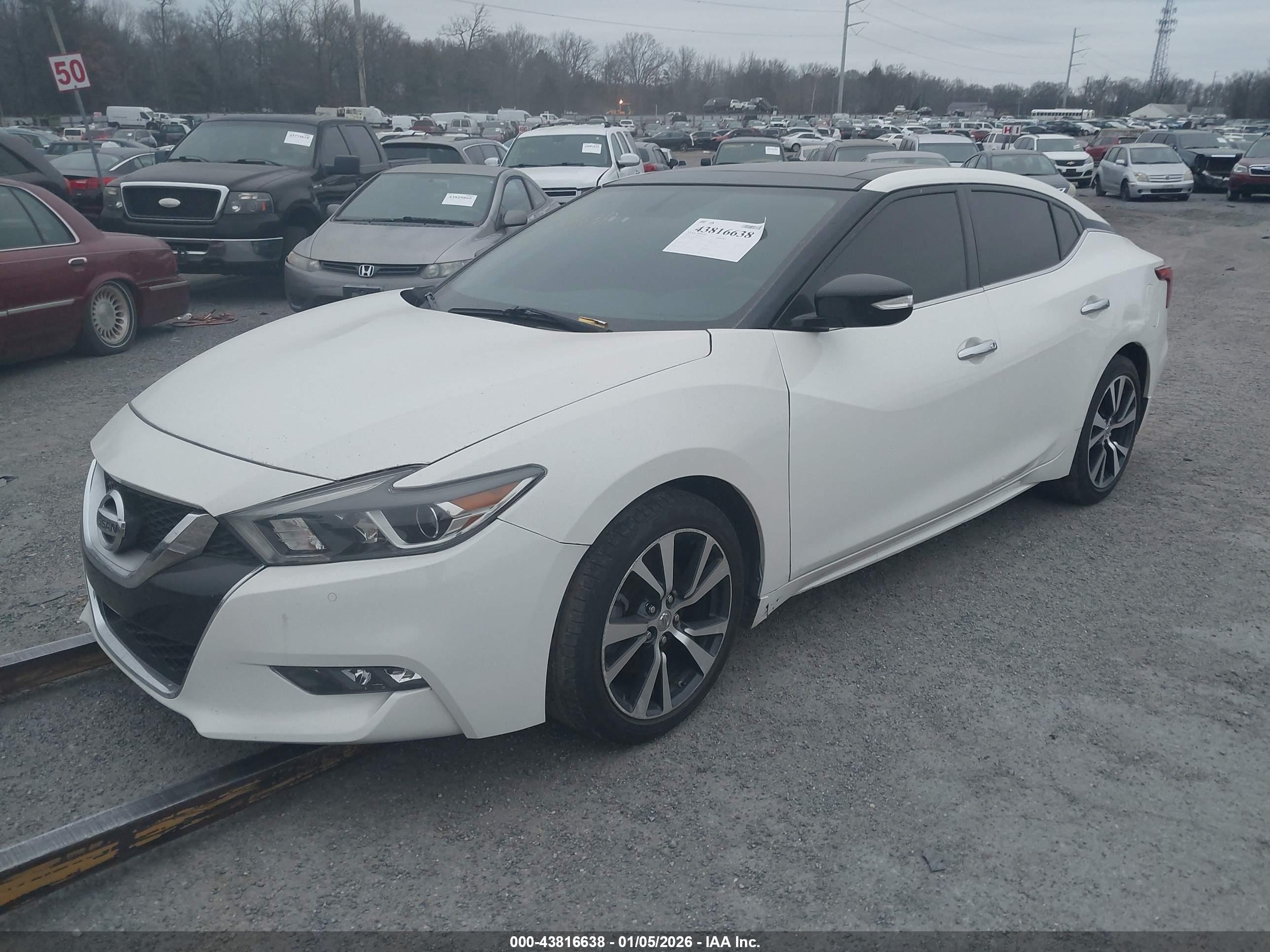 NISSAN MAXIMA image 2