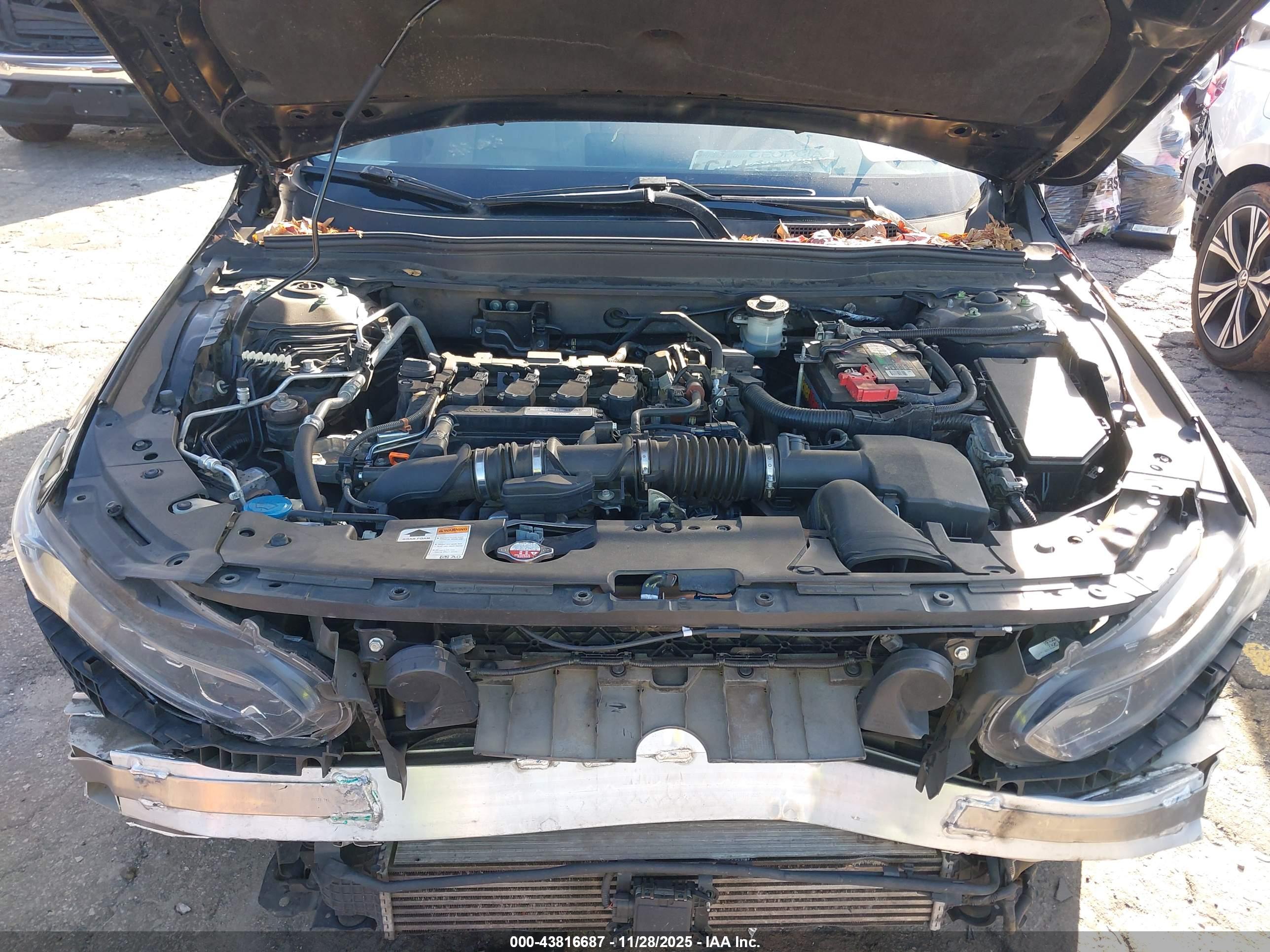 HONDA ACCORD image 10