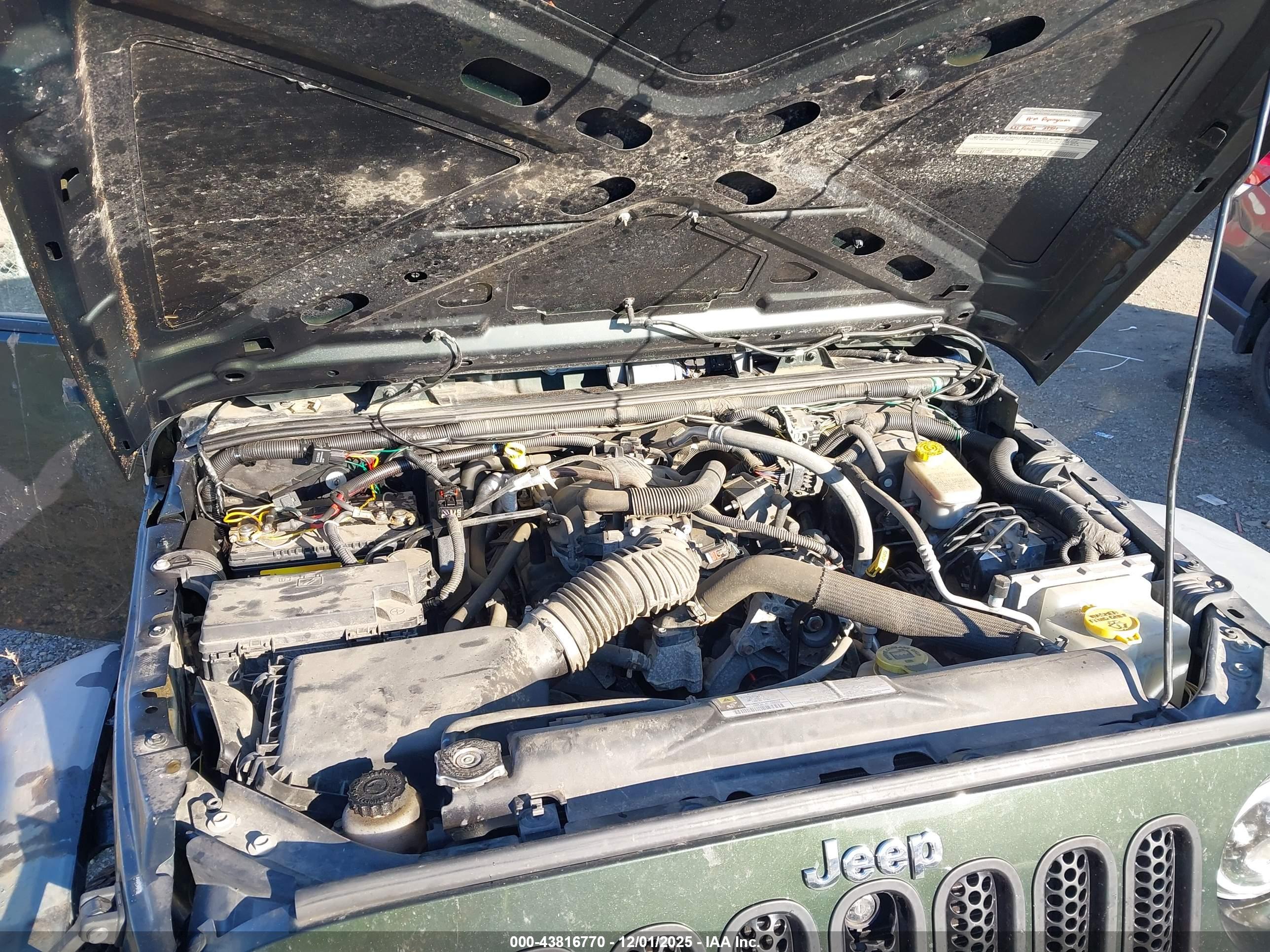 JEEP WRANGLER image 10