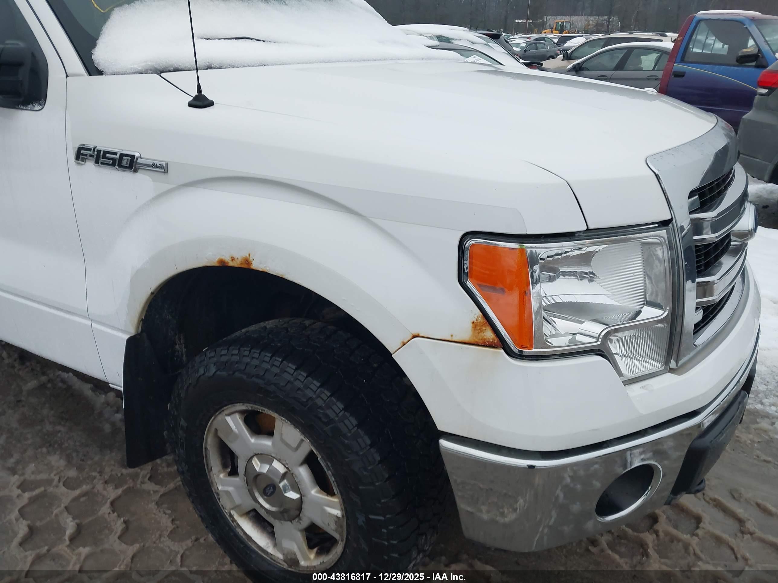 FORD F-150 image 6