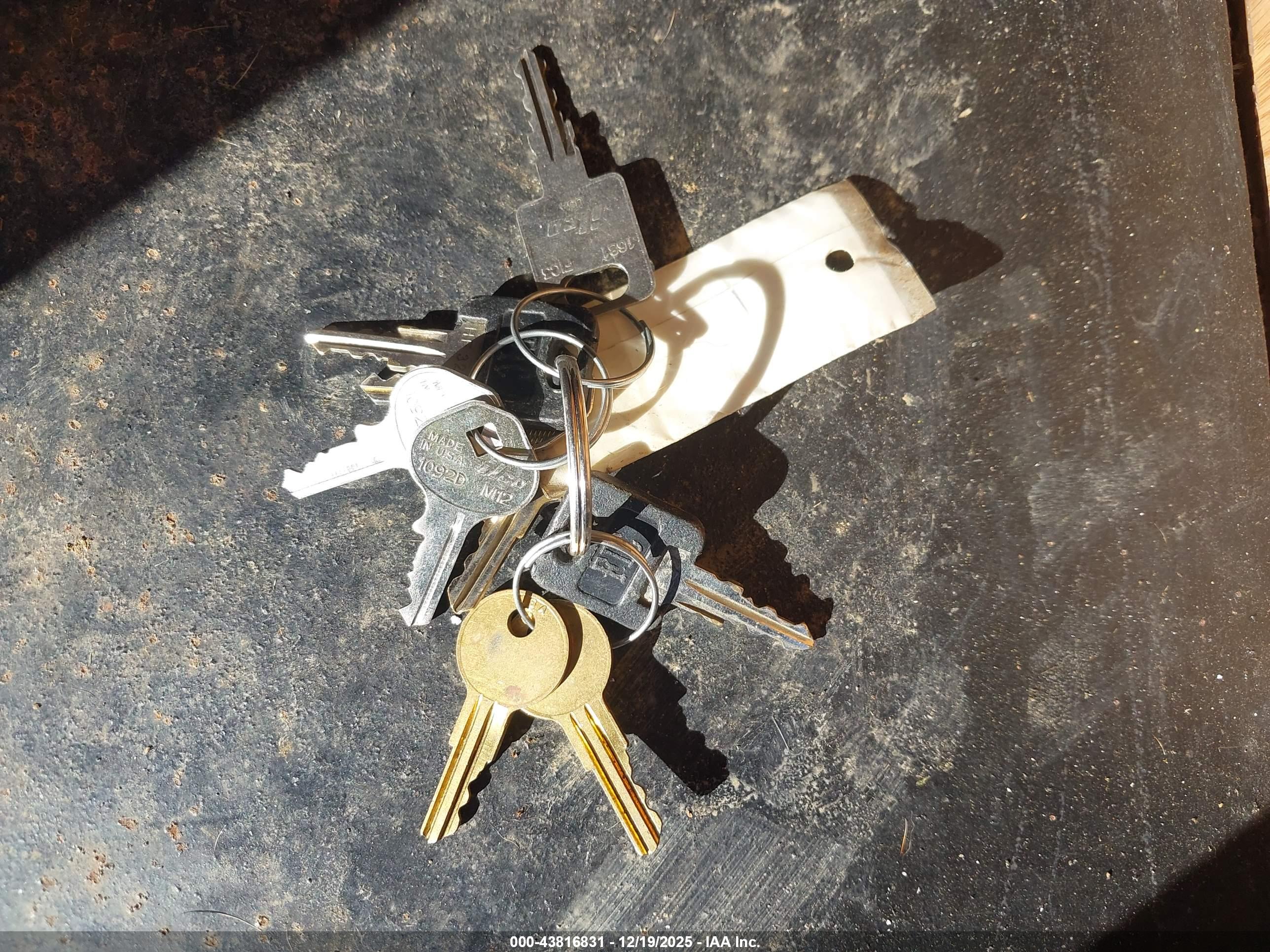 JAYCO JAY image 11