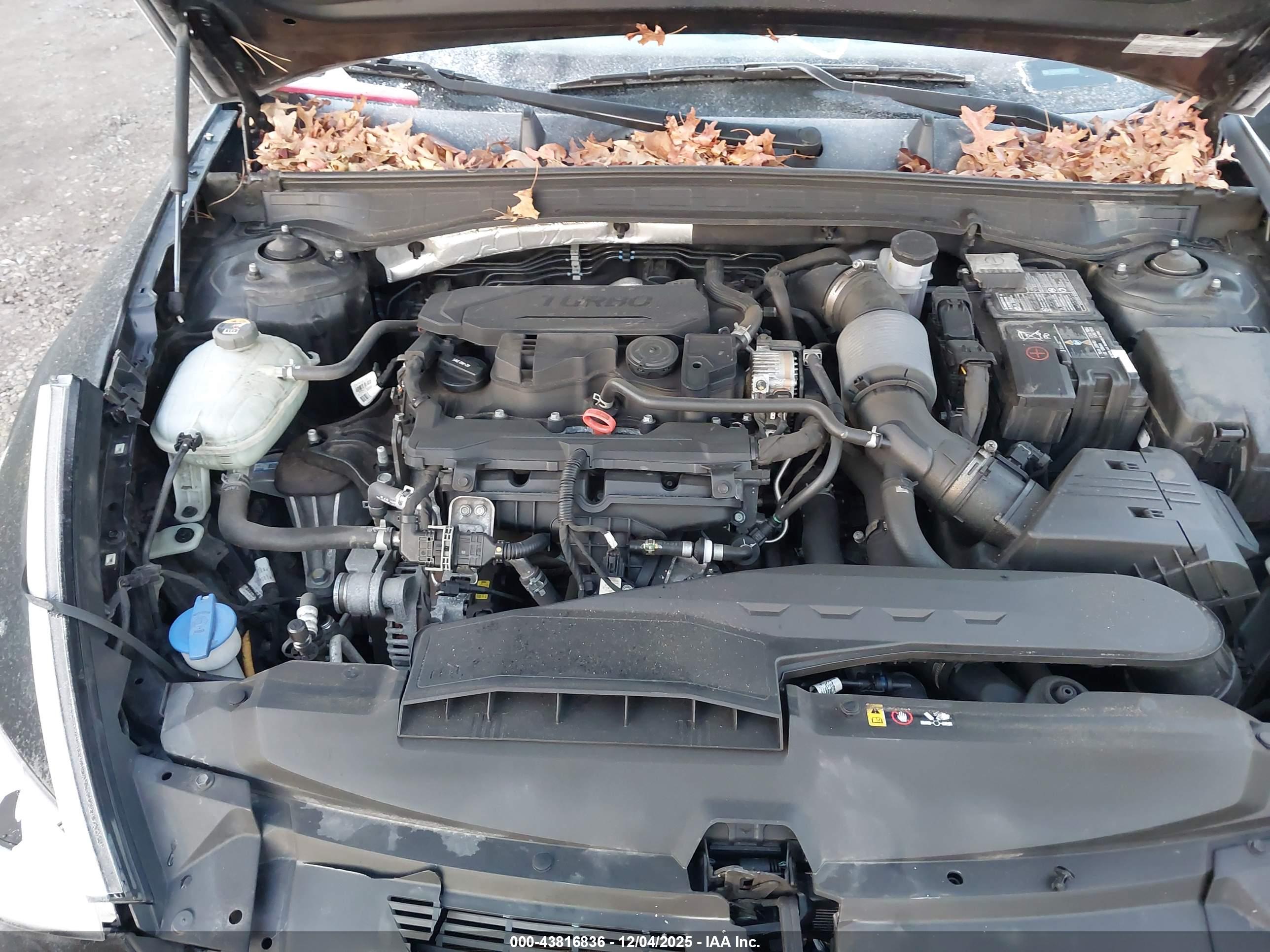 HYUNDAI SONATA image 10