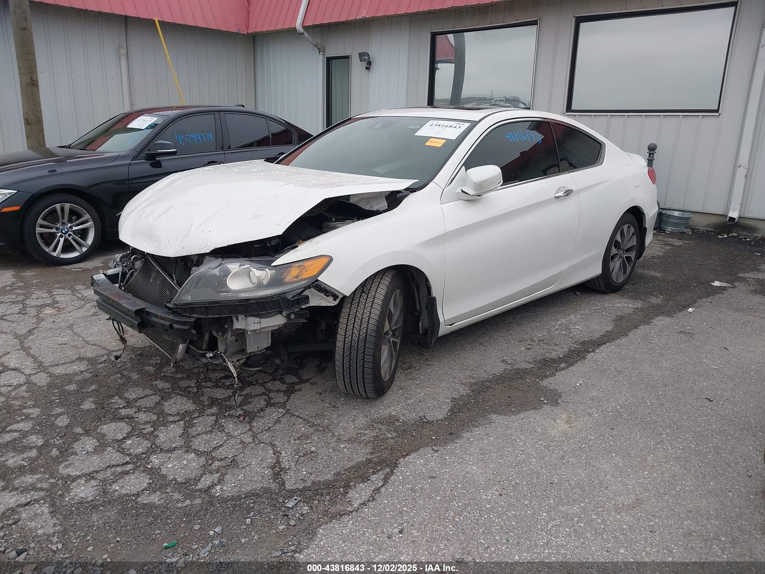 HONDA ACCORD image 2