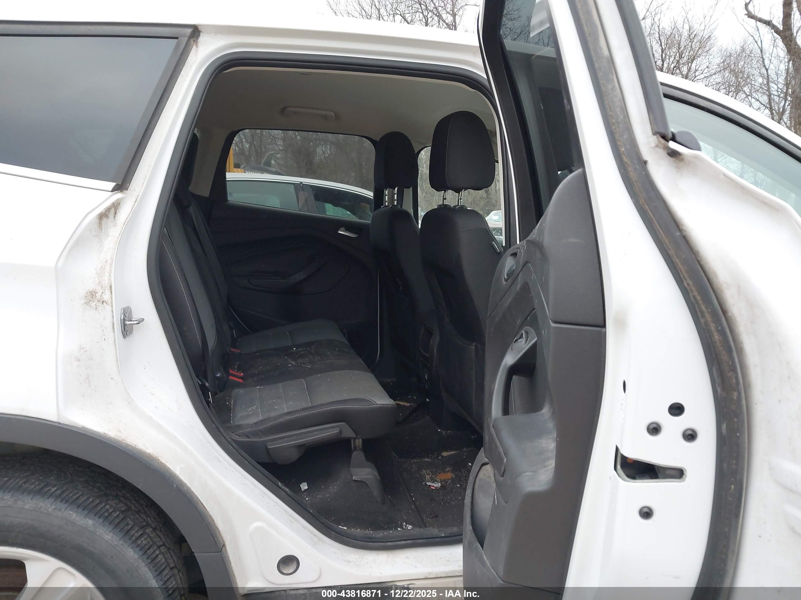 FORD ESCAPE image 5