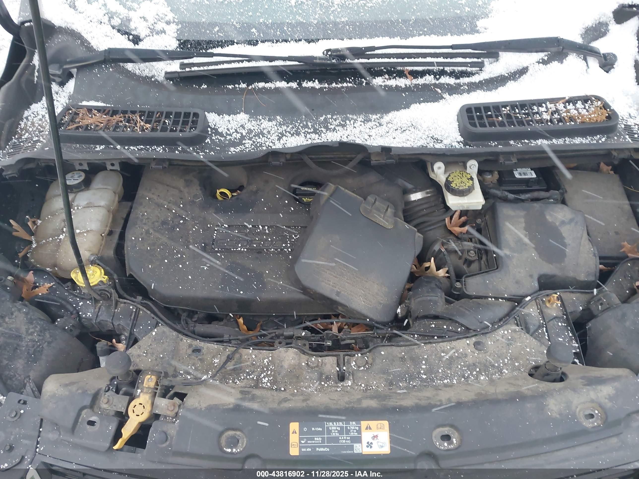 FORD ESCAPE image 10