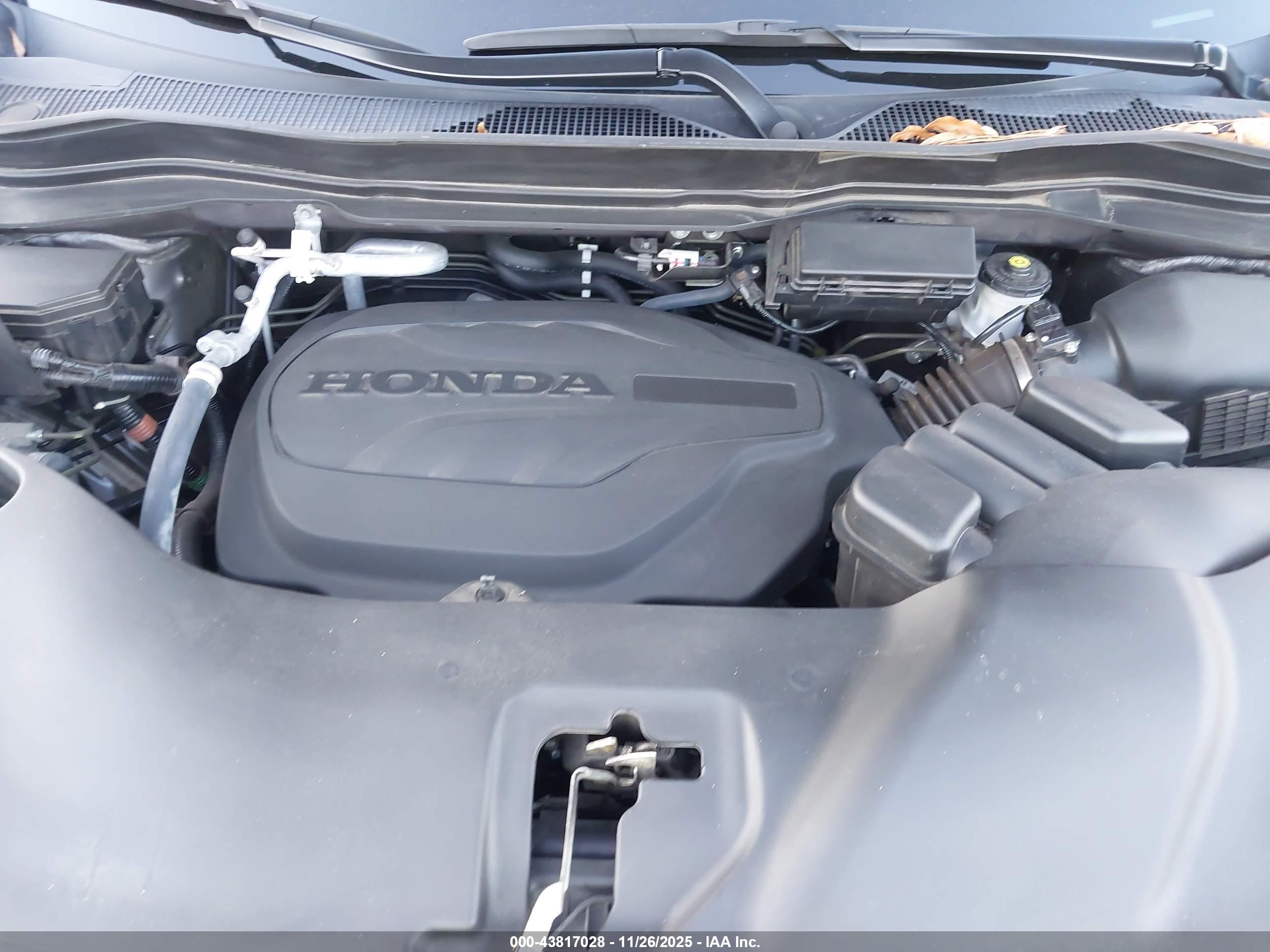 HONDA PASSPORT image 10