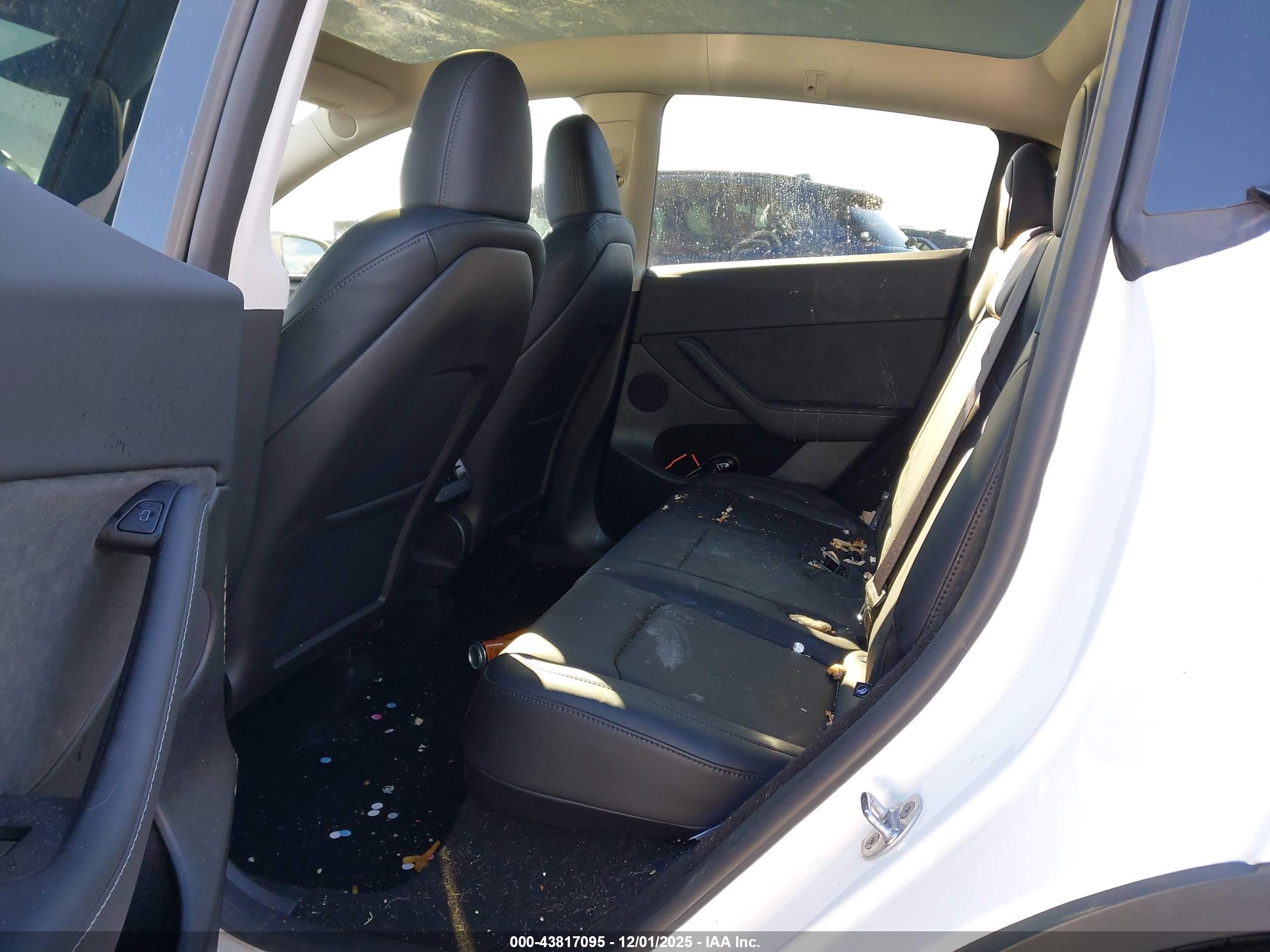 TESLA MODEL image 8