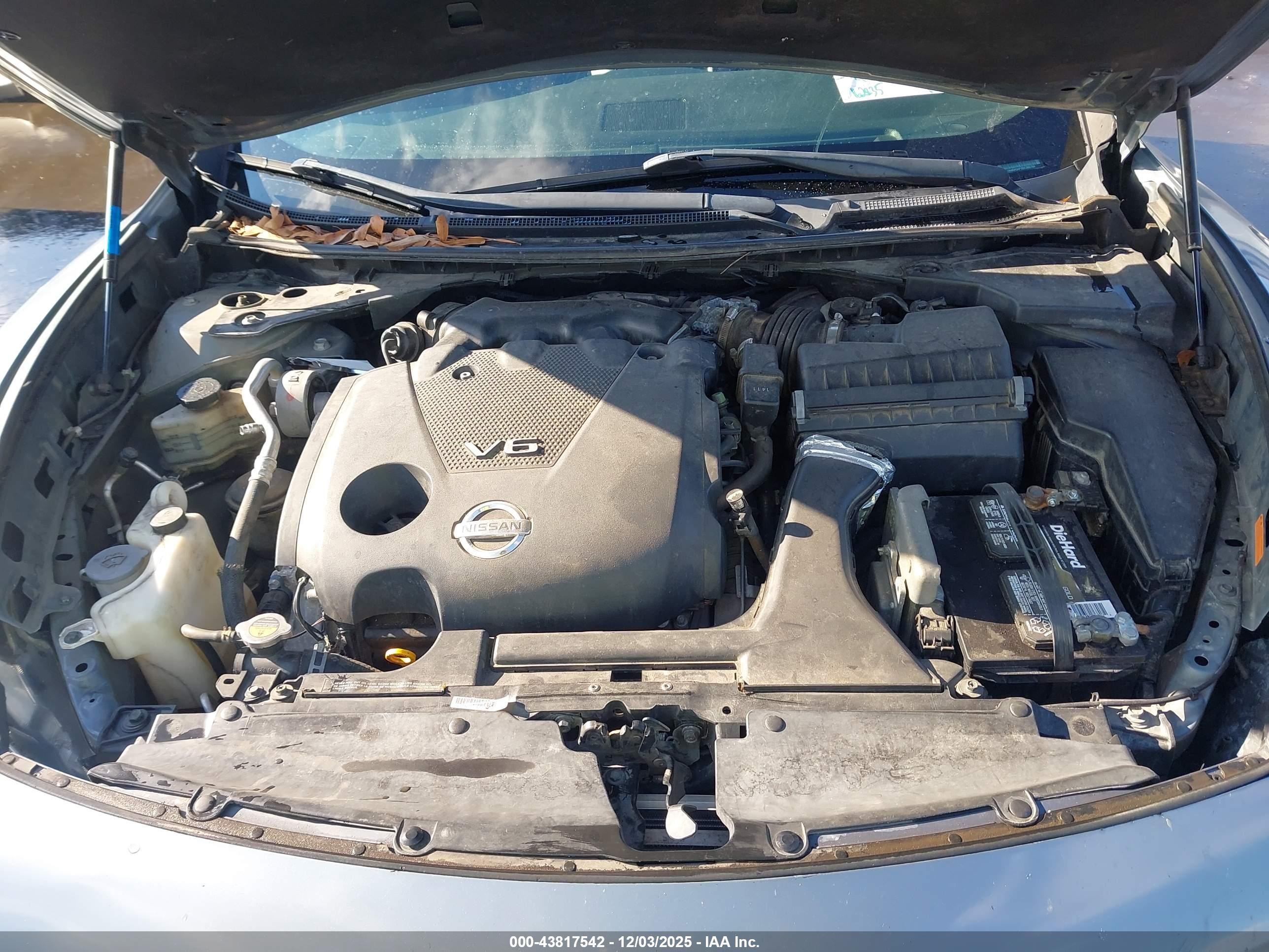 NISSAN MAXIMA image 10
