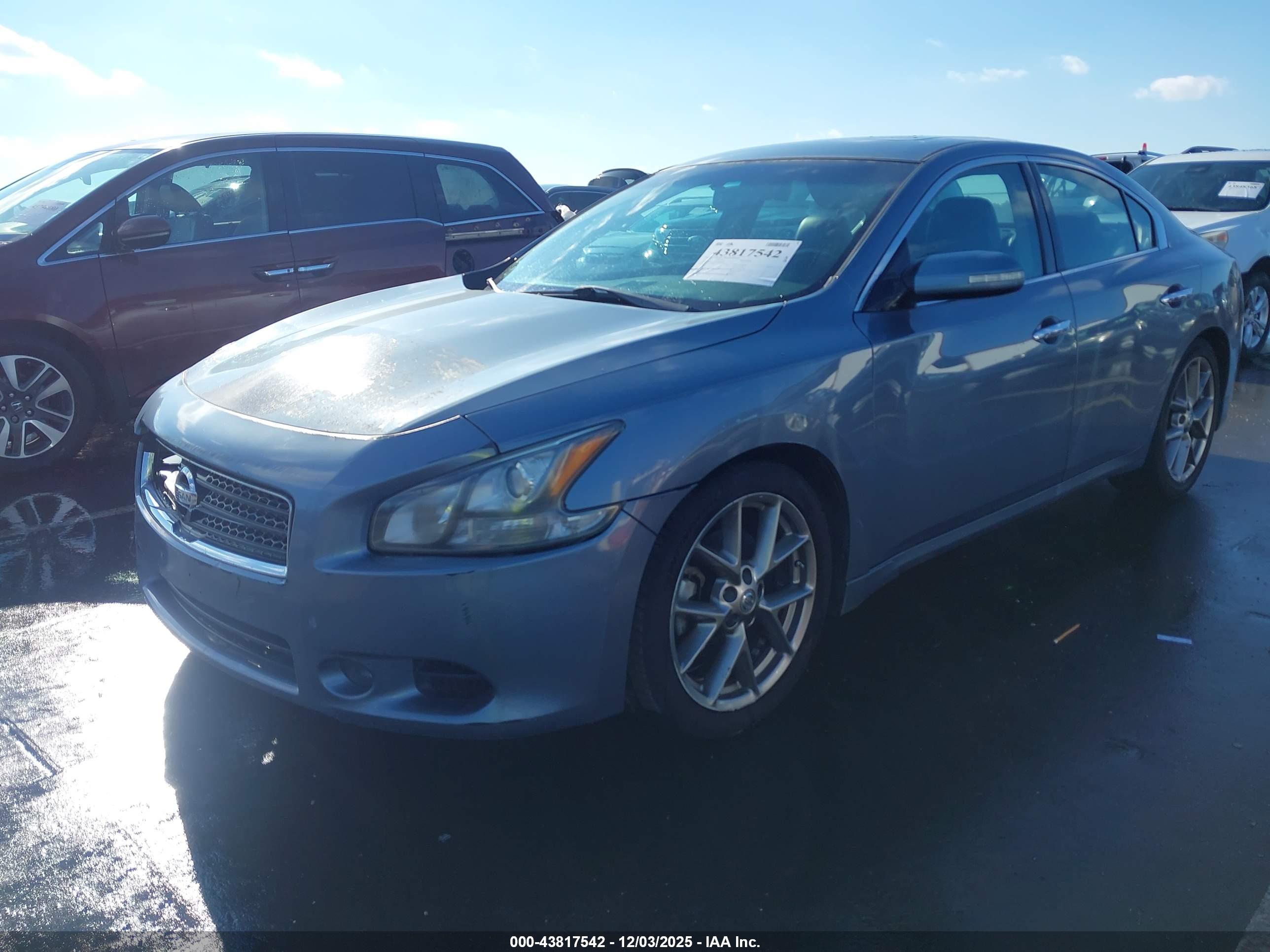 NISSAN MAXIMA image 2