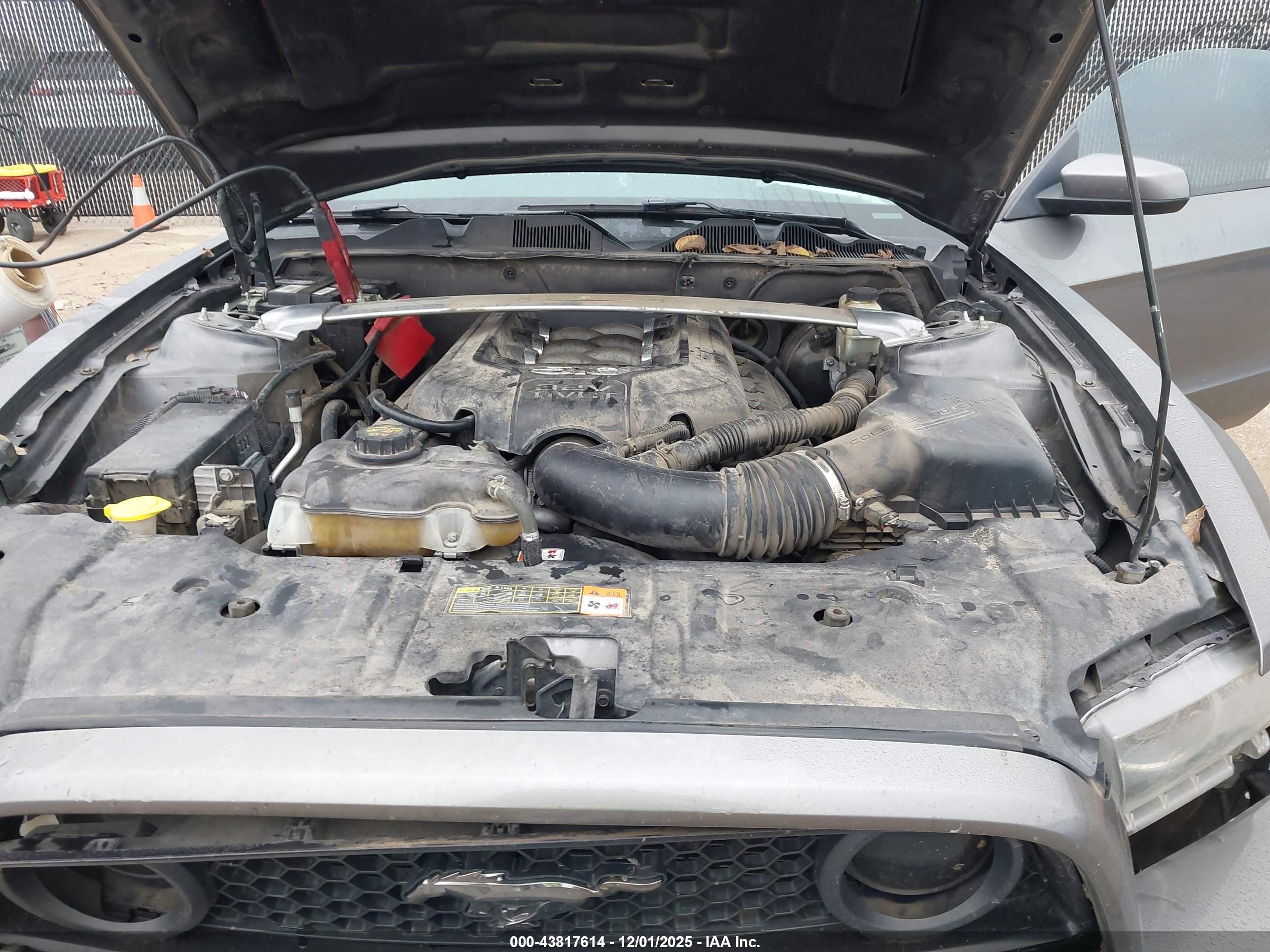FORD MUSTANG image 10