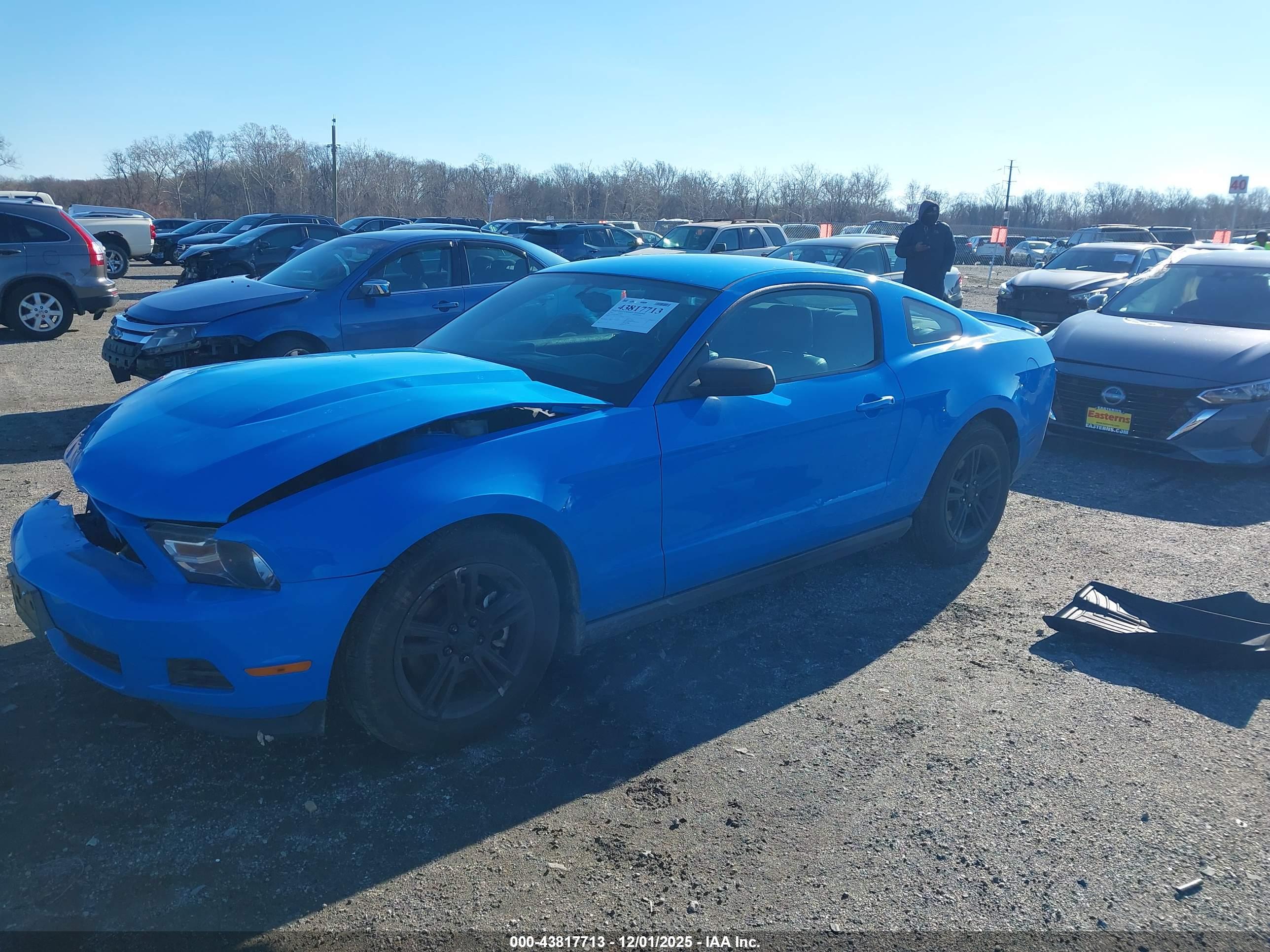 FORD MUSTANG image 2
