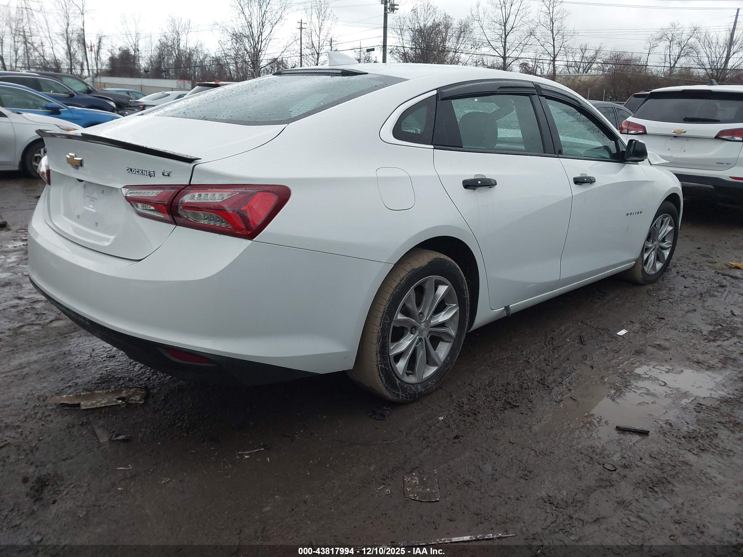 CHEVROLET MALIBU image 4