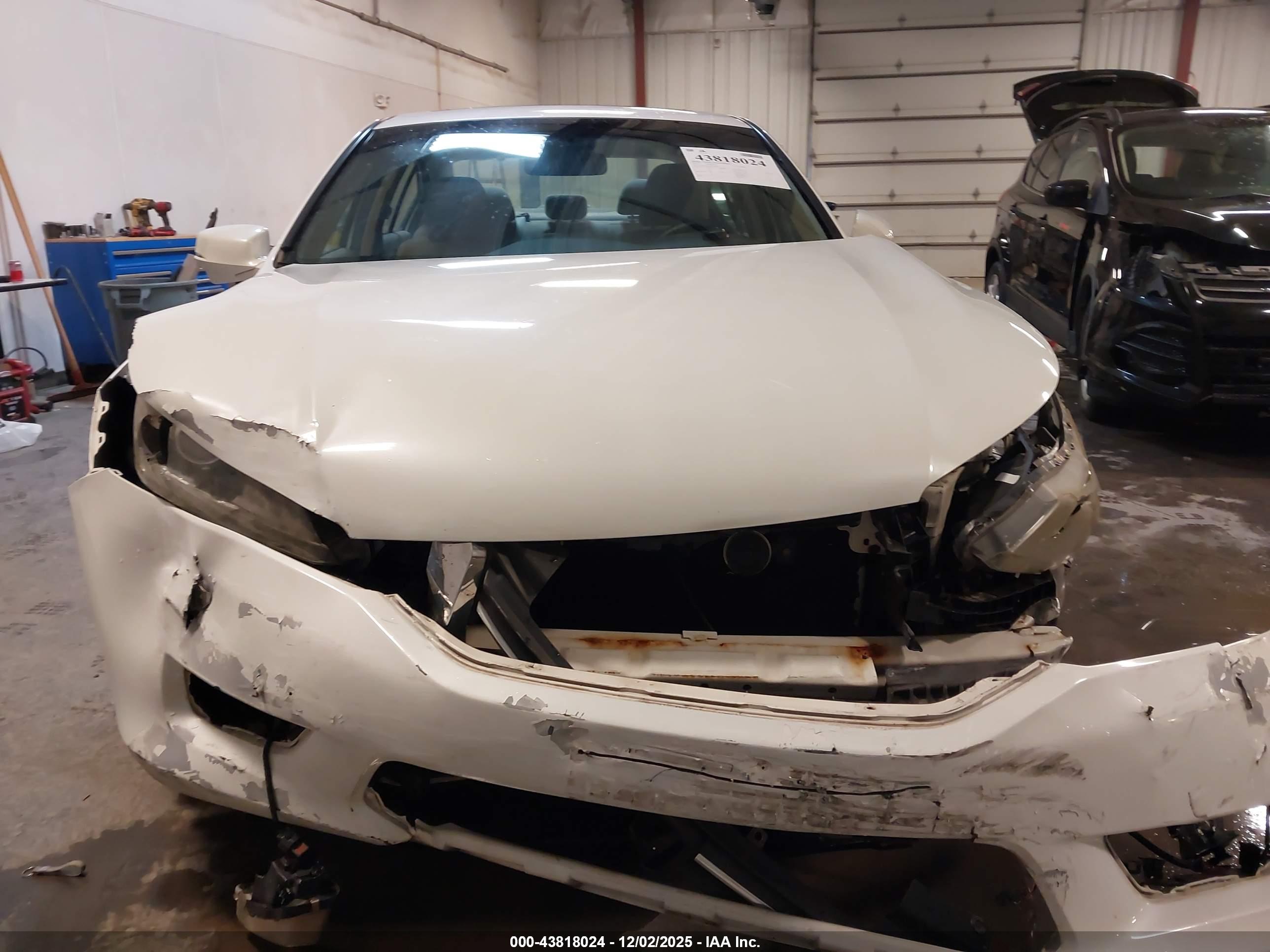 HONDA ACCORD image 6