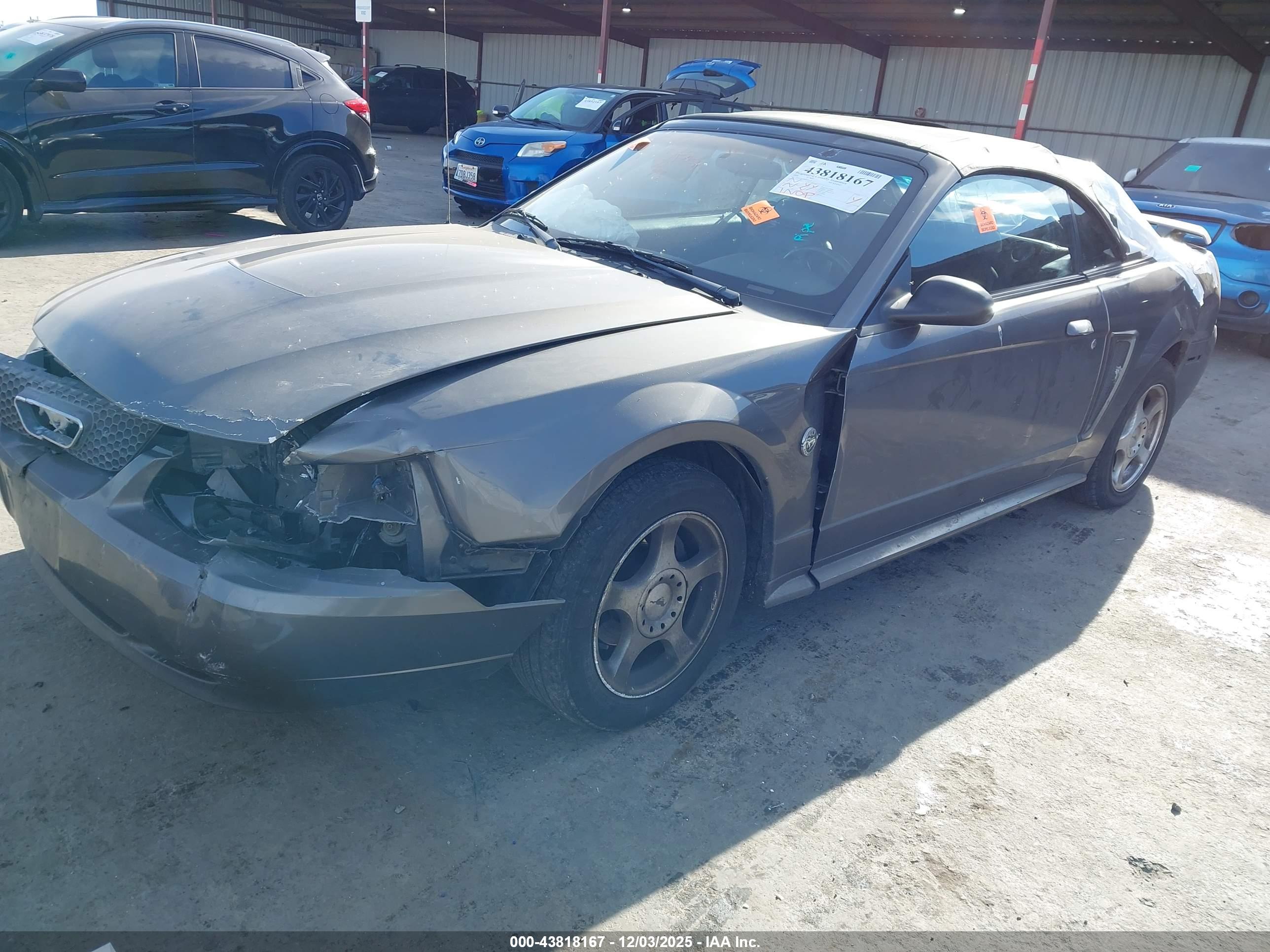 FORD MUSTANG image 2