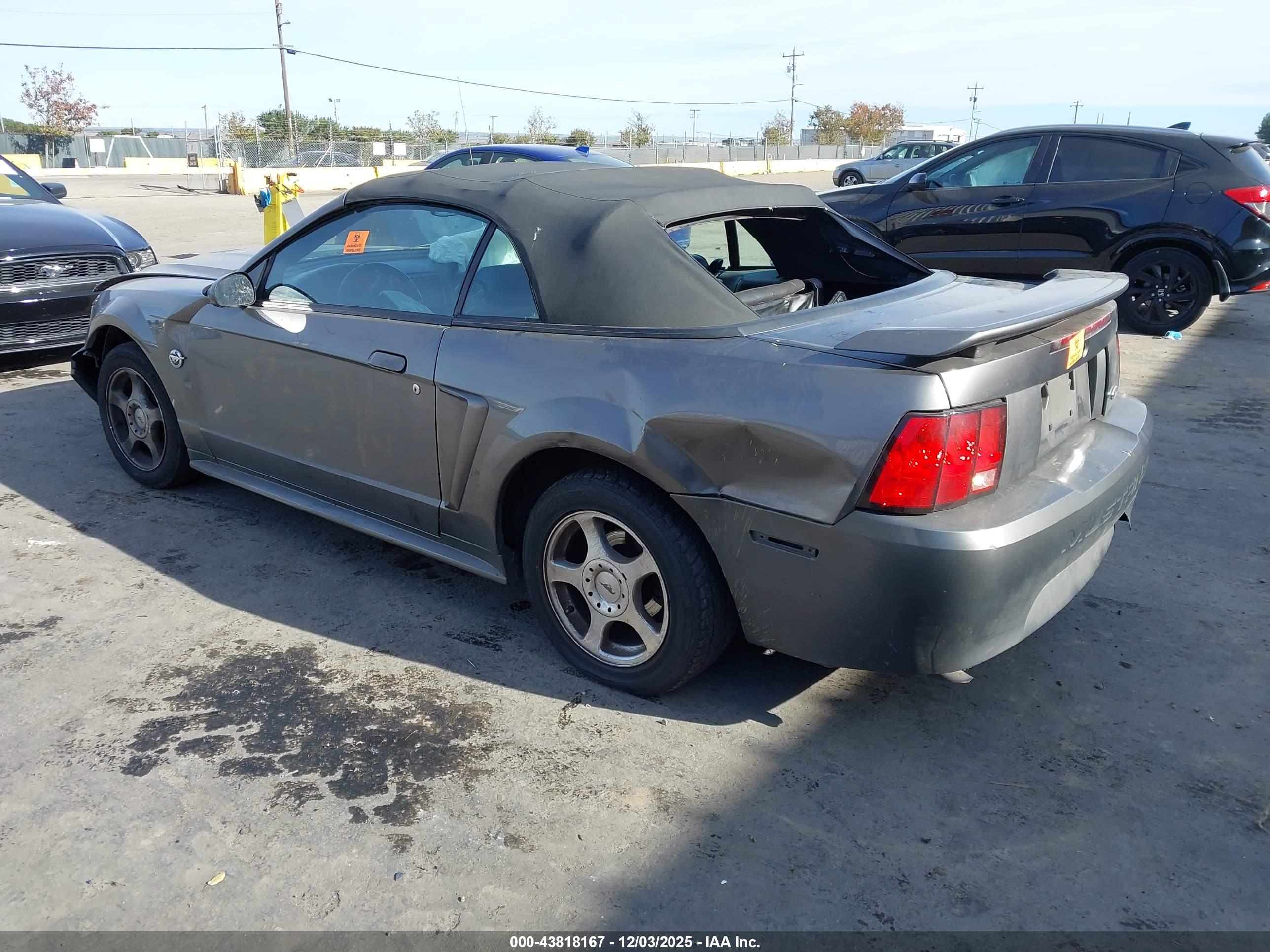 FORD MUSTANG image 3