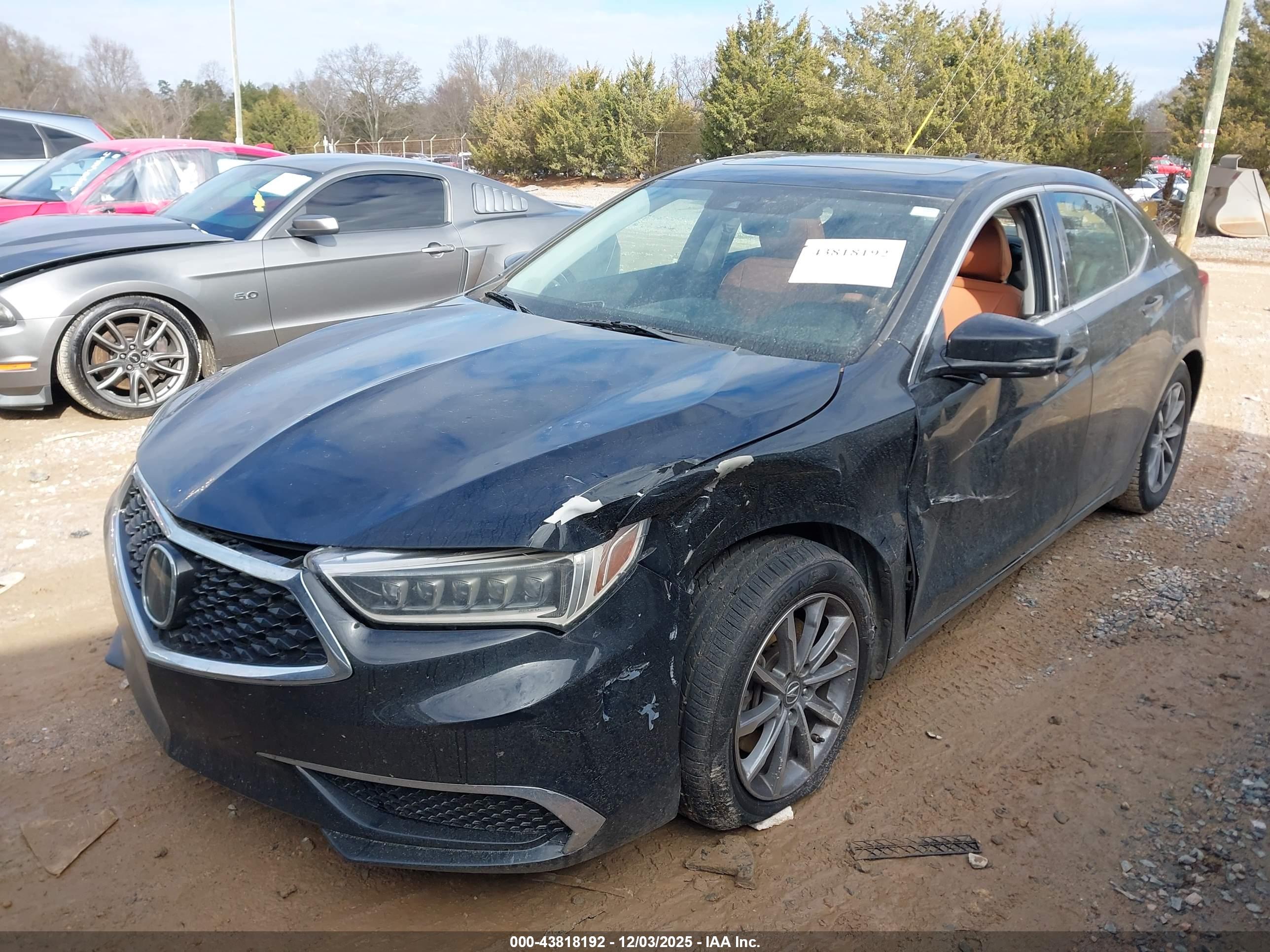 ACURA TLX image 2