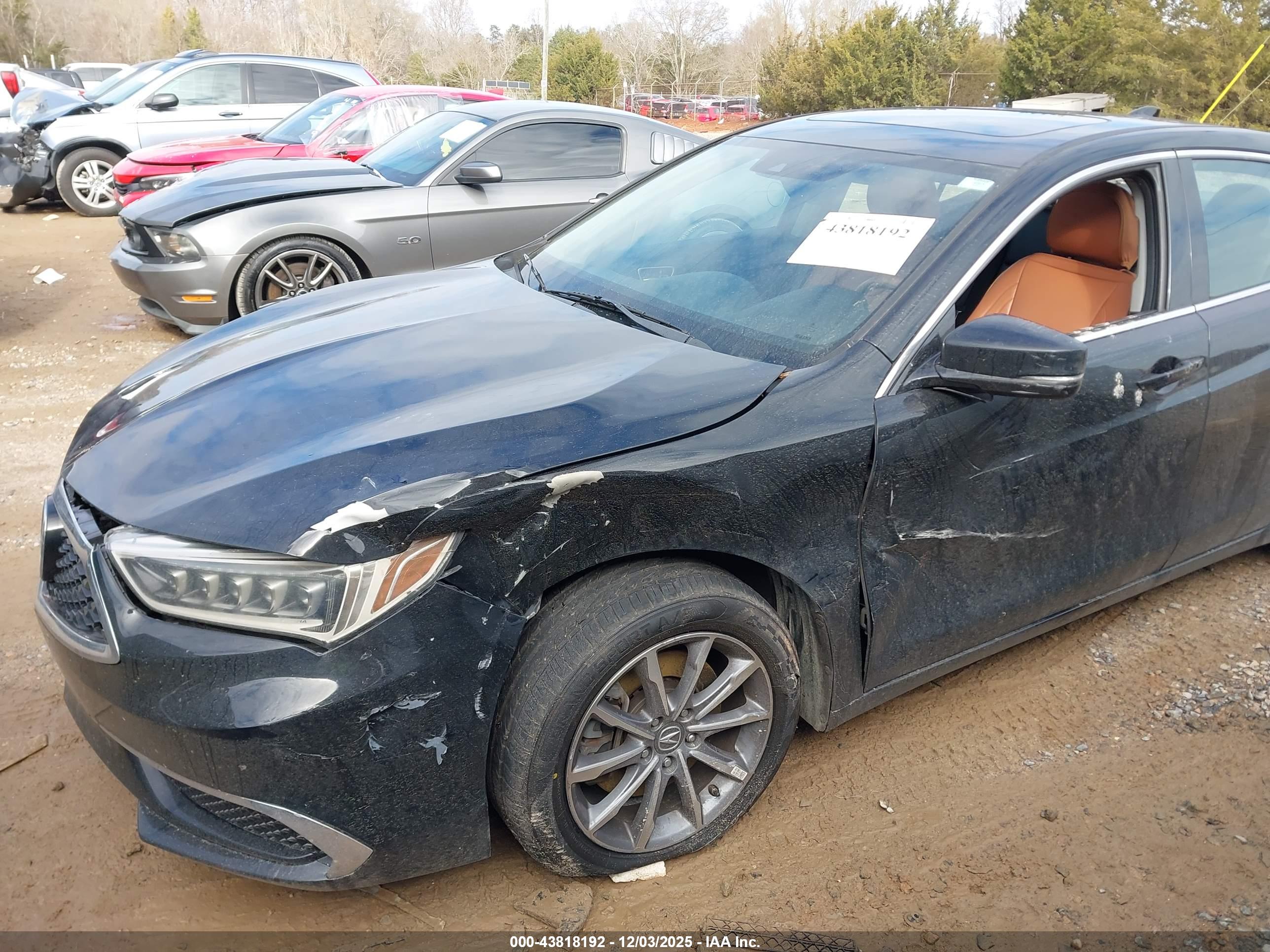 ACURA TLX image 6