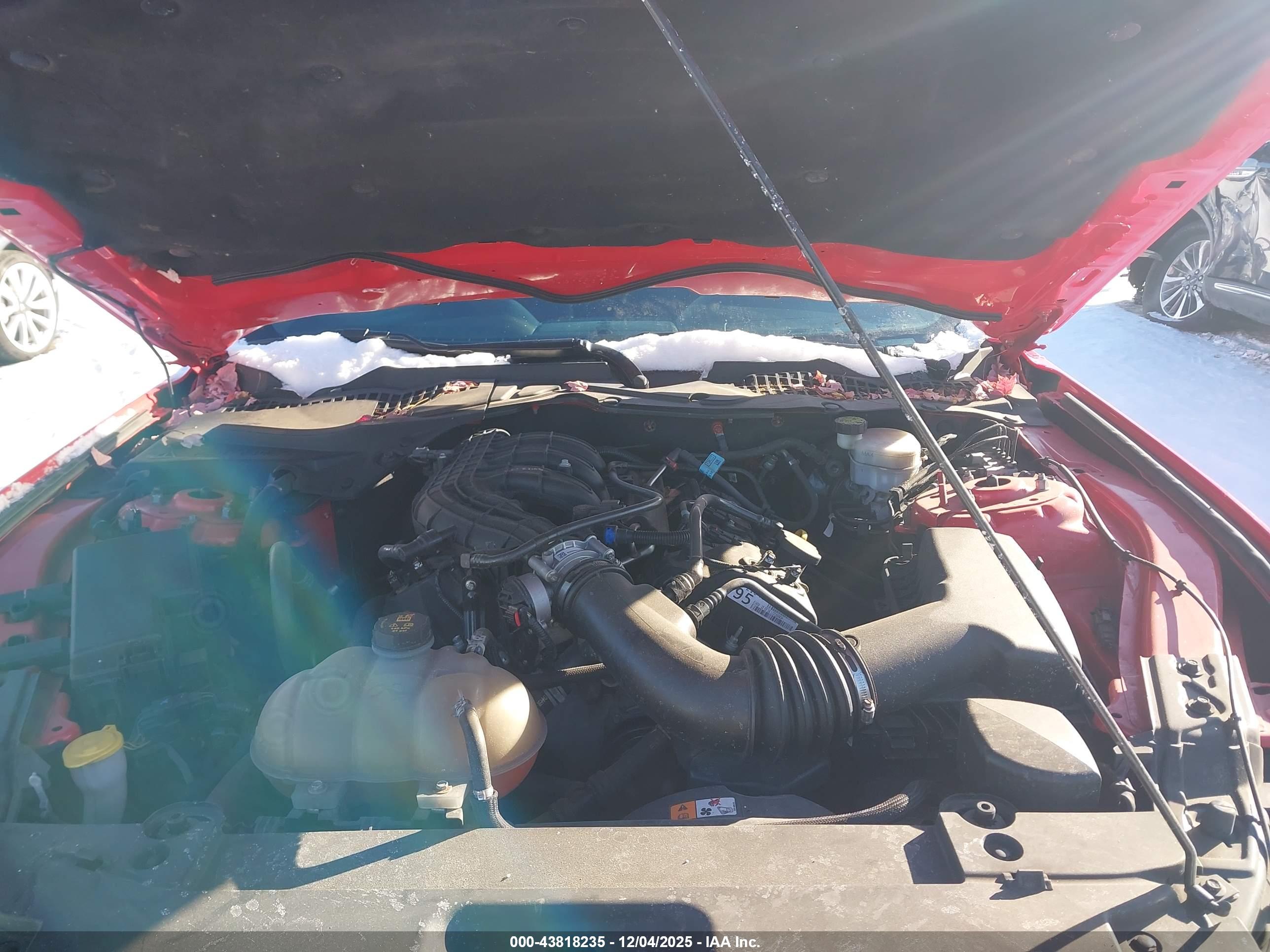 FORD MUSTANG image 10