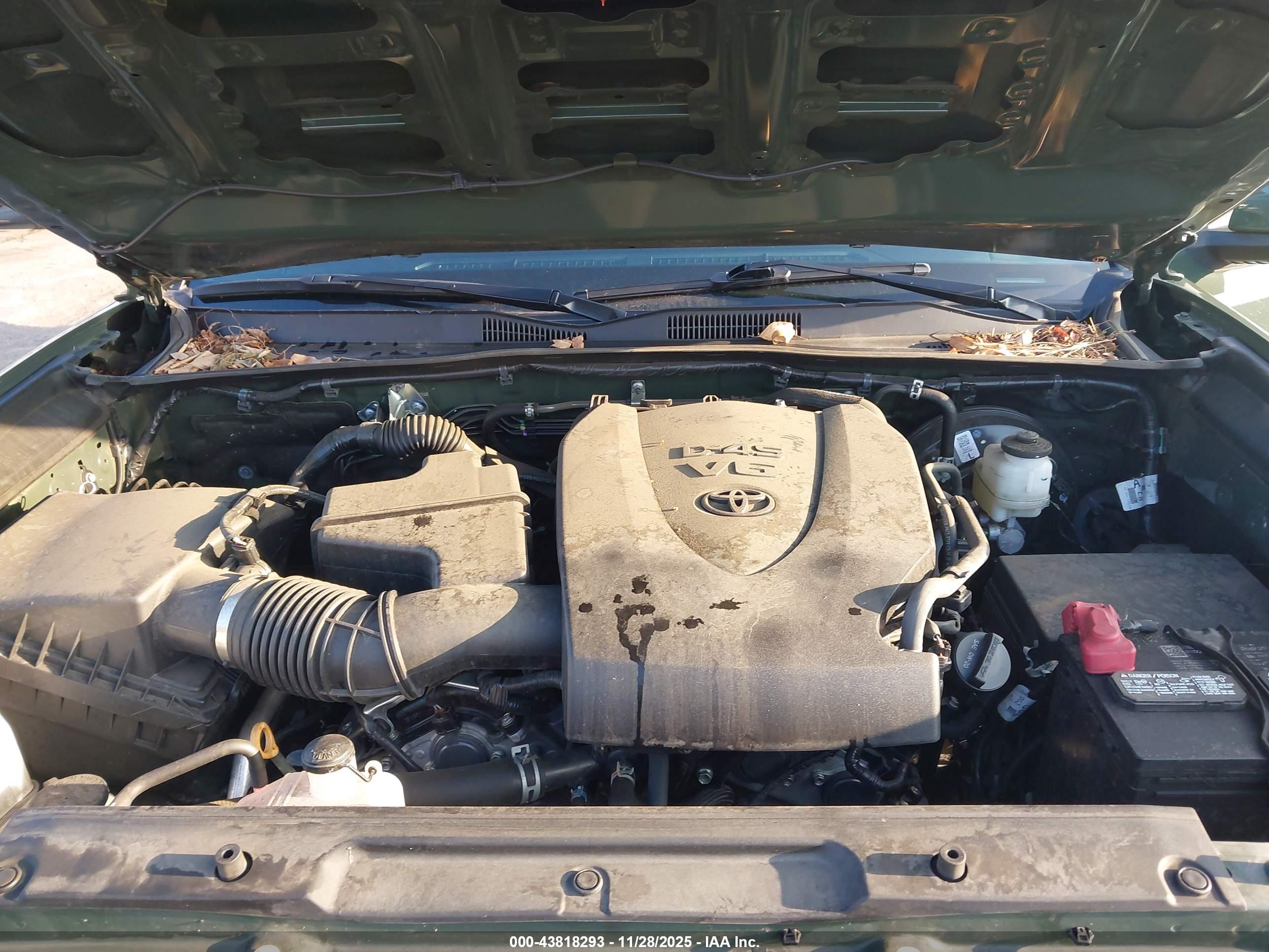 TOYOTA TACOMA image 10