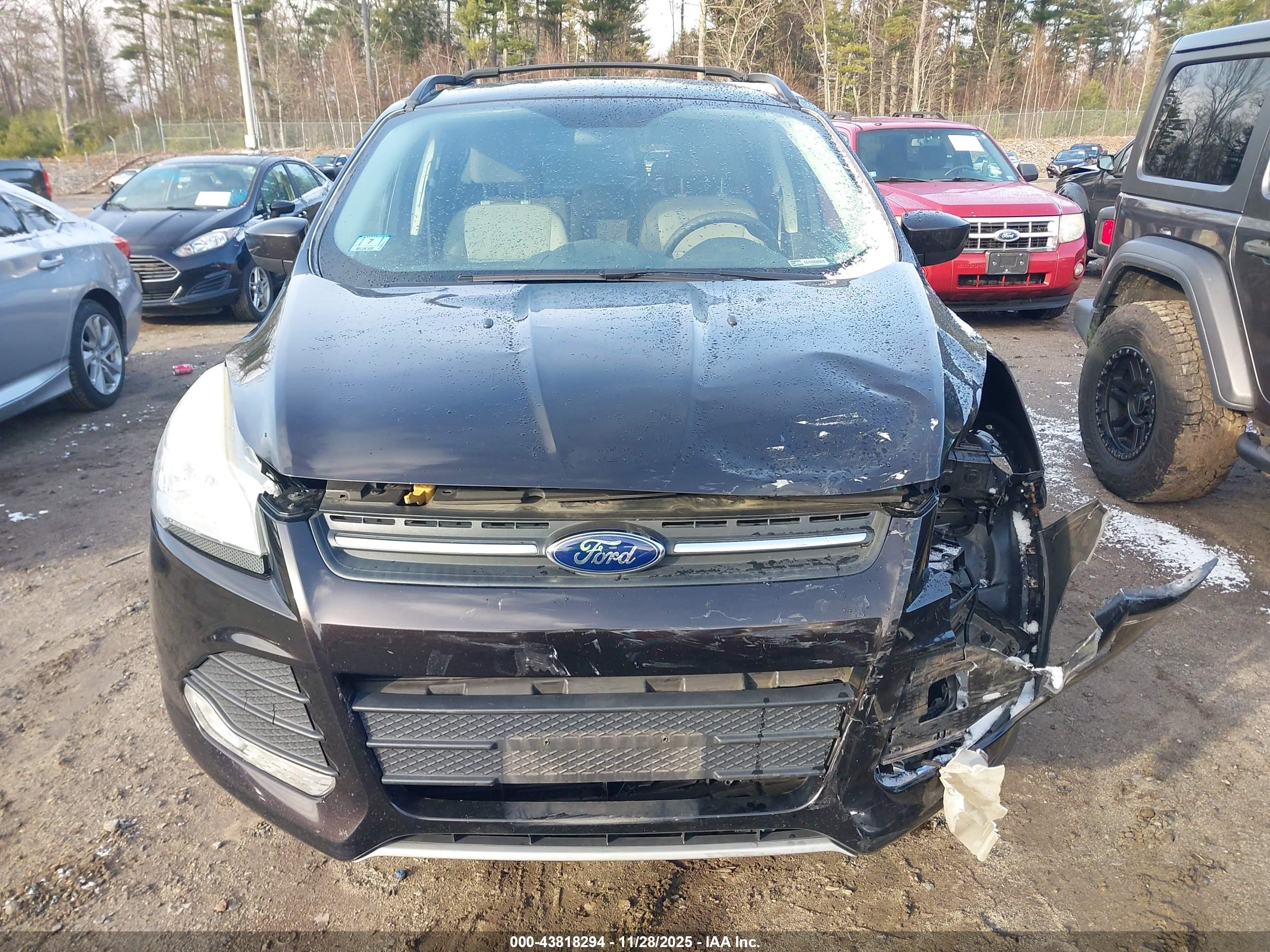 FORD ESCAPE image 6