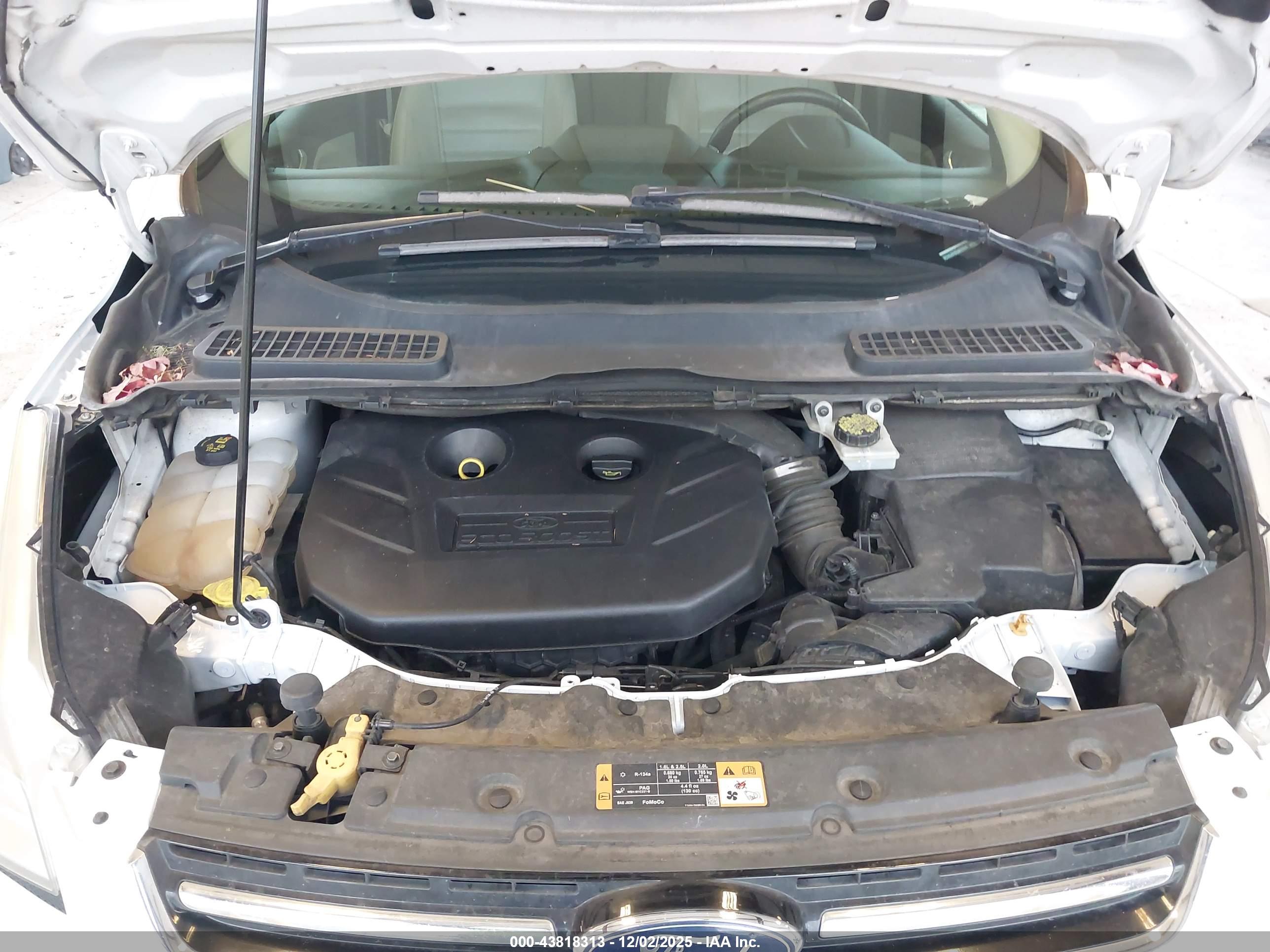 FORD ESCAPE image 10