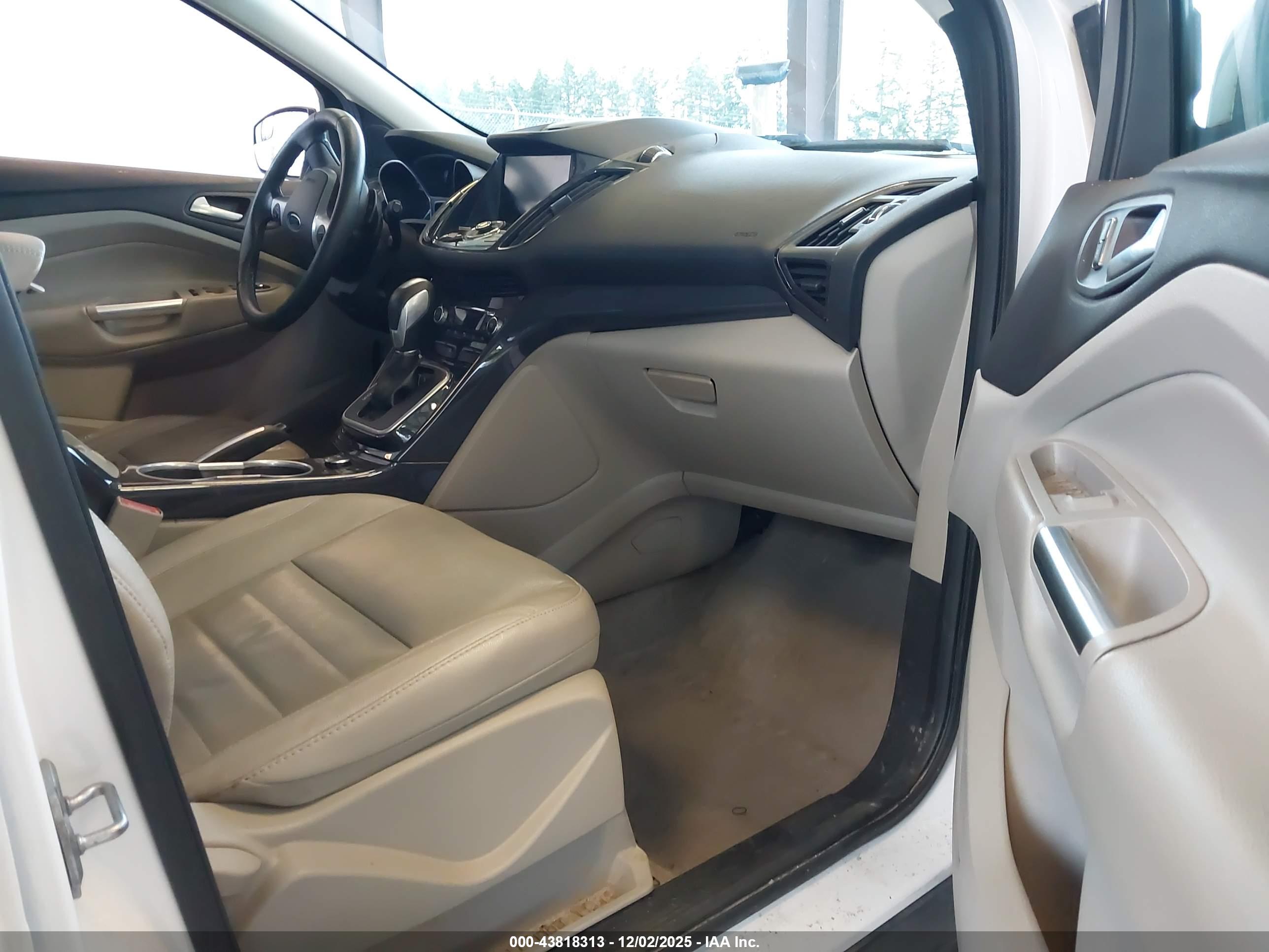FORD ESCAPE image 5