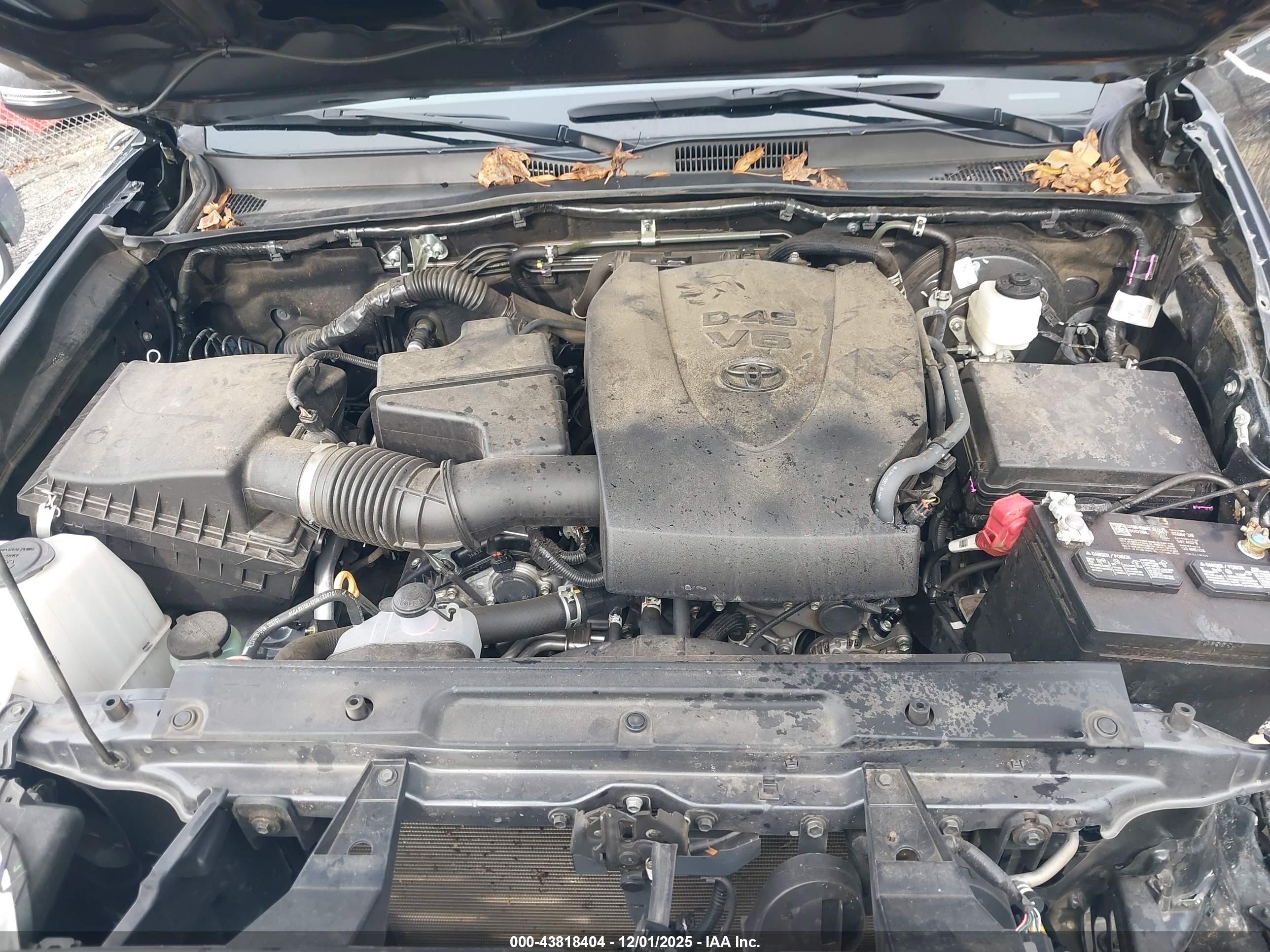 TOYOTA TACOMA image 10