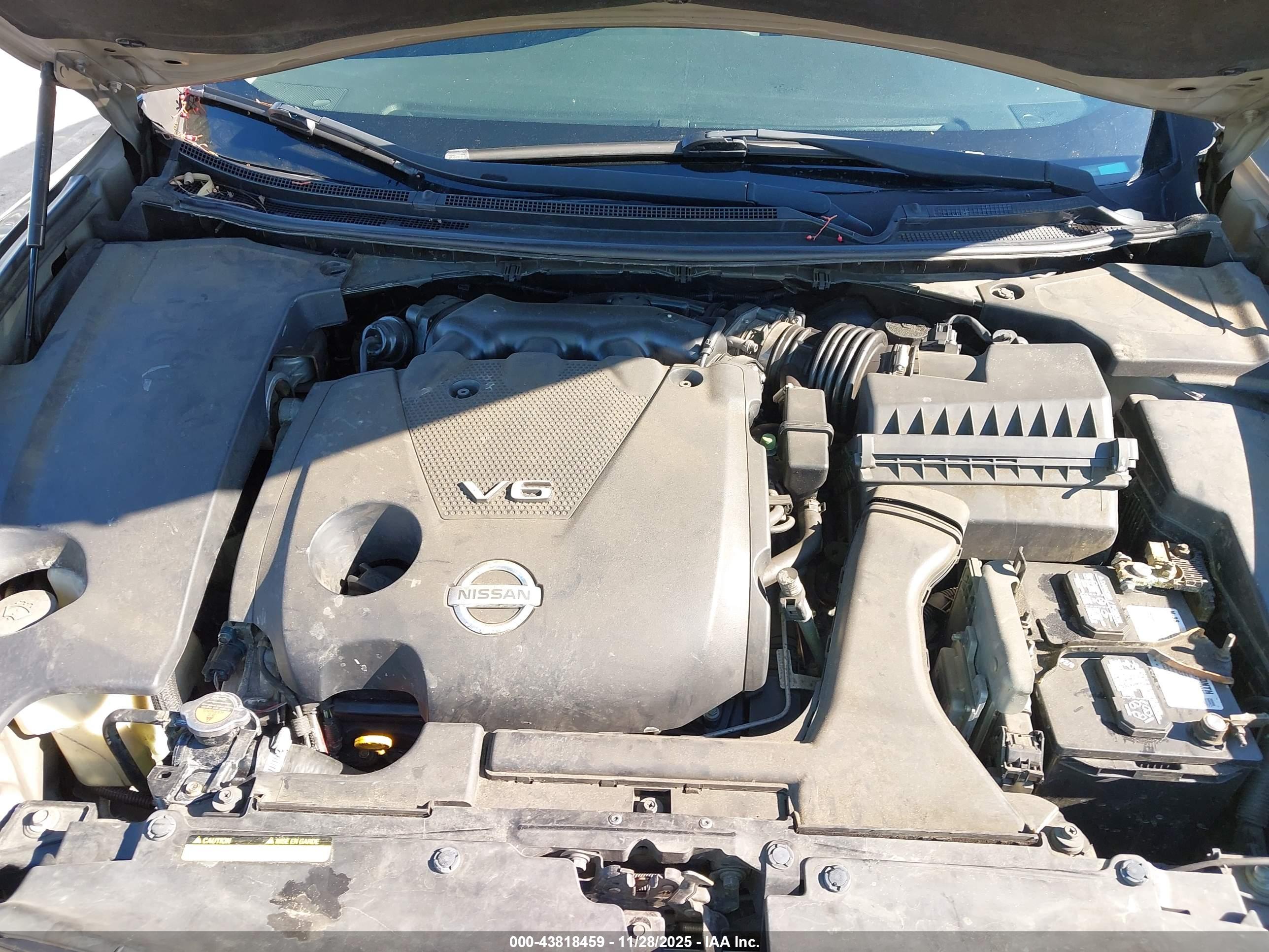 NISSAN MAXIMA image 10