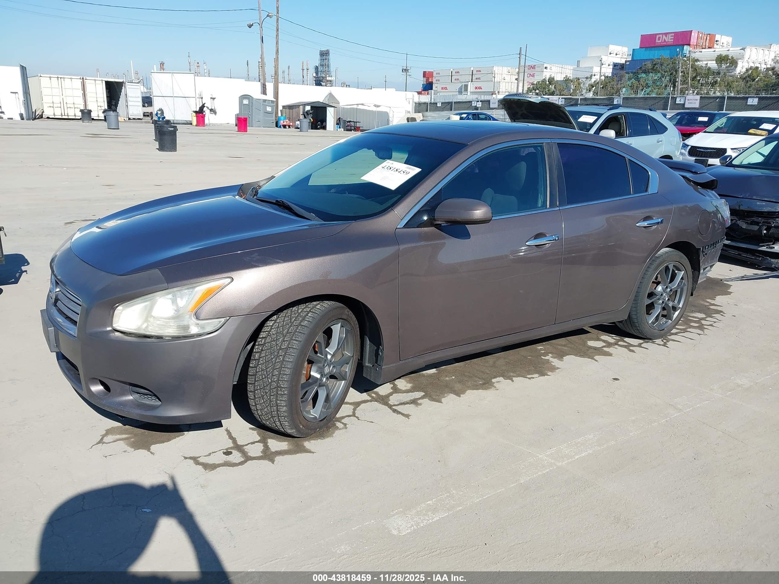 NISSAN MAXIMA image 2
