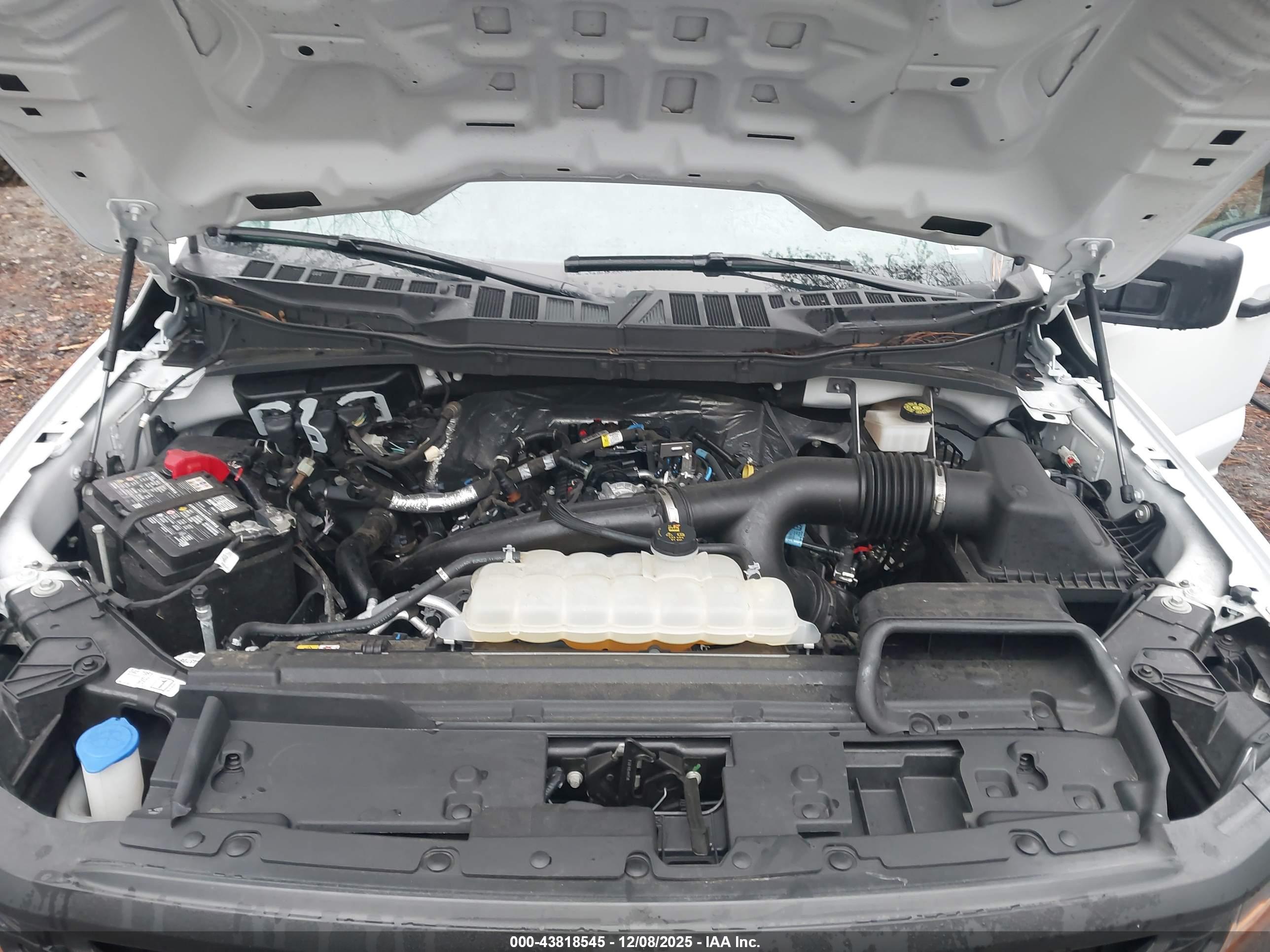 FORD F-150 image 10