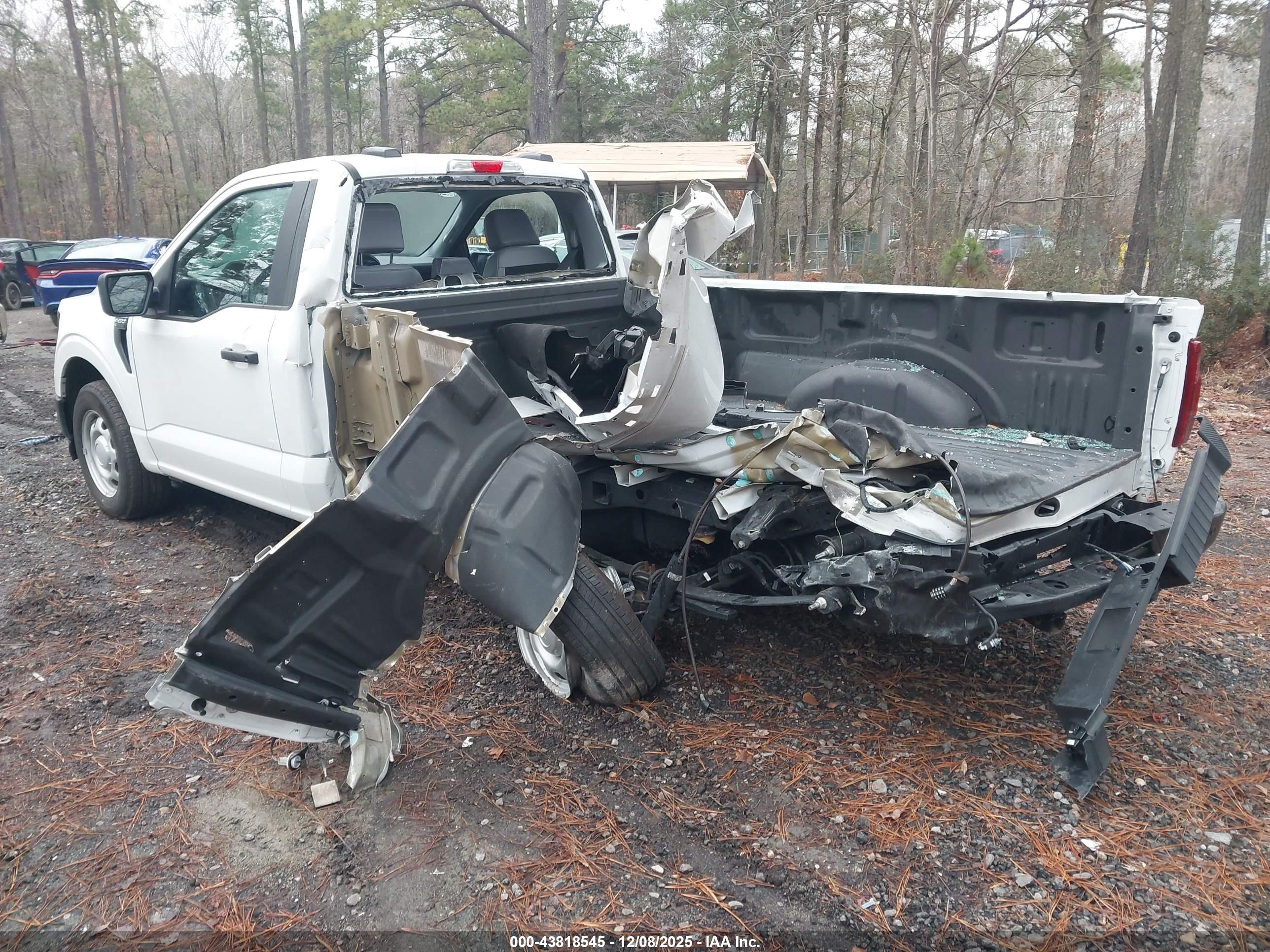FORD F-150 image 3