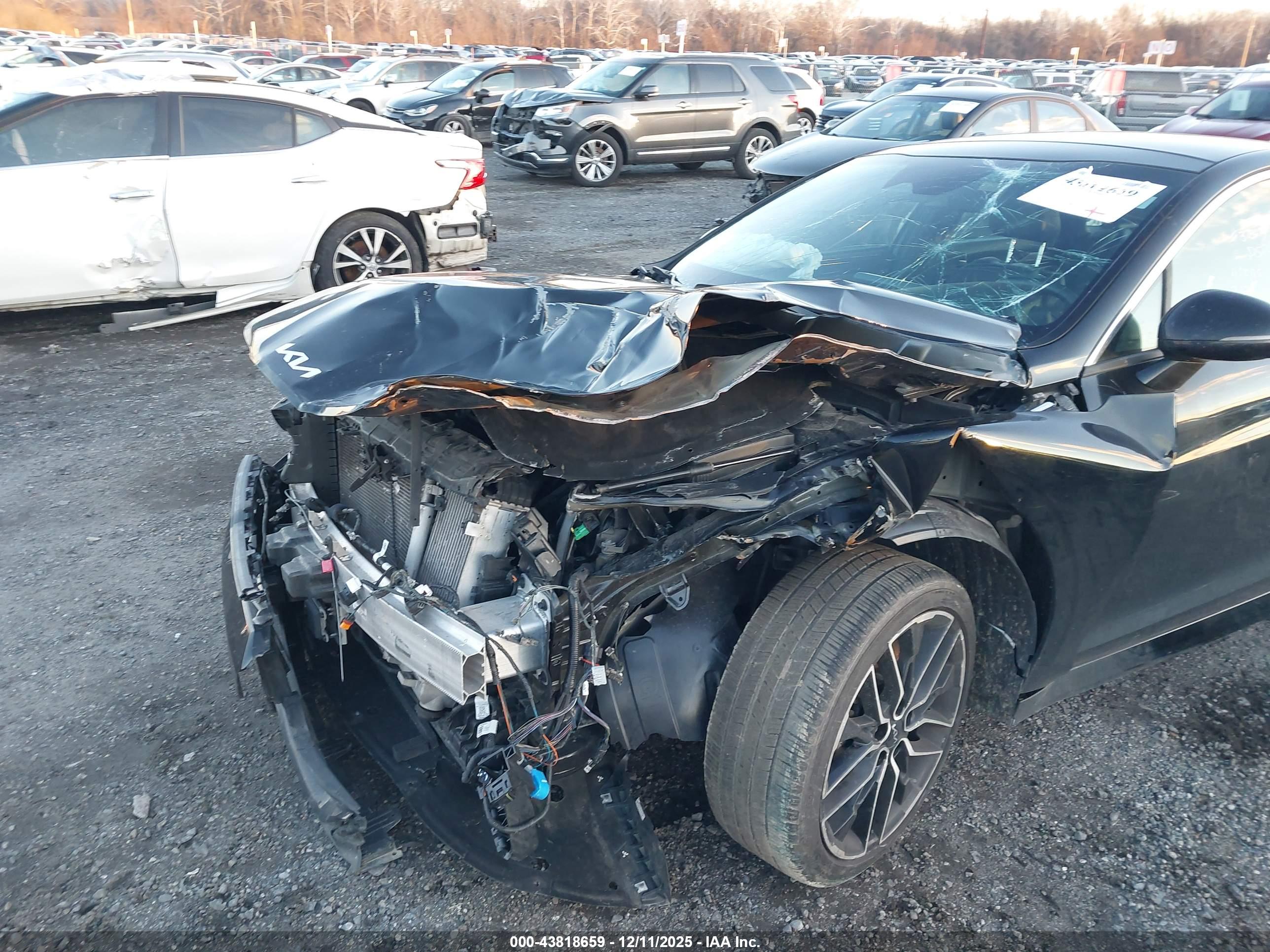 KIA K5 image 6