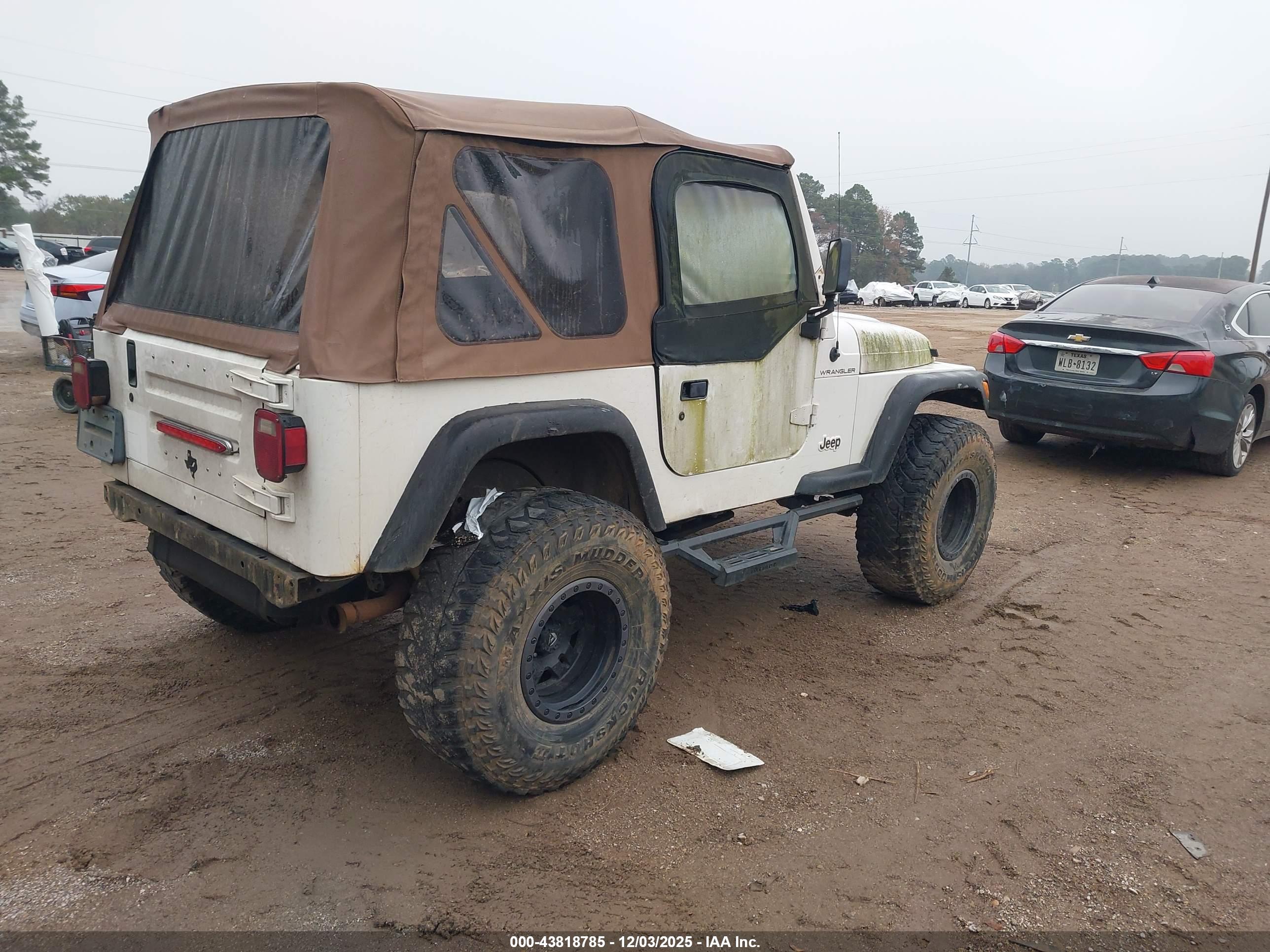 JEEP WRANGLER image 4