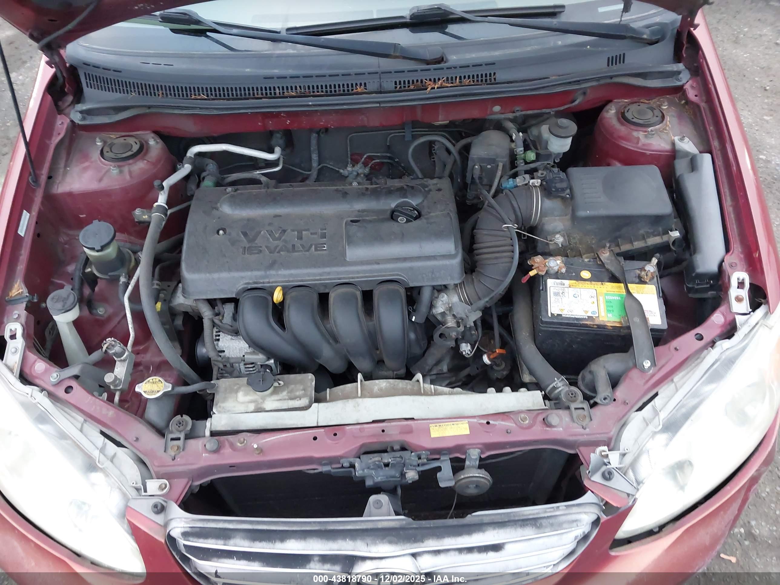 TOYOTA COROLLA image 10