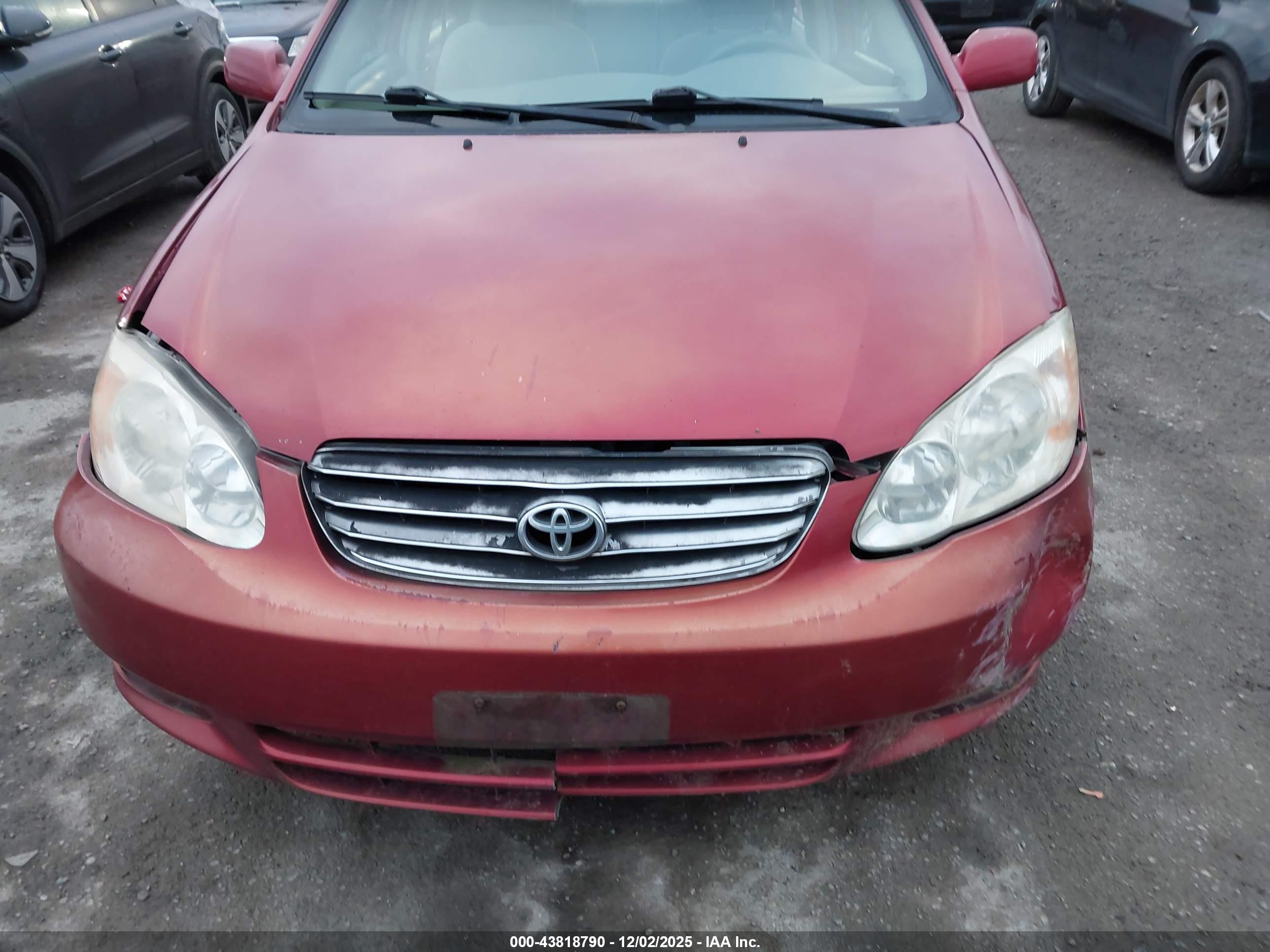 TOYOTA COROLLA image 6