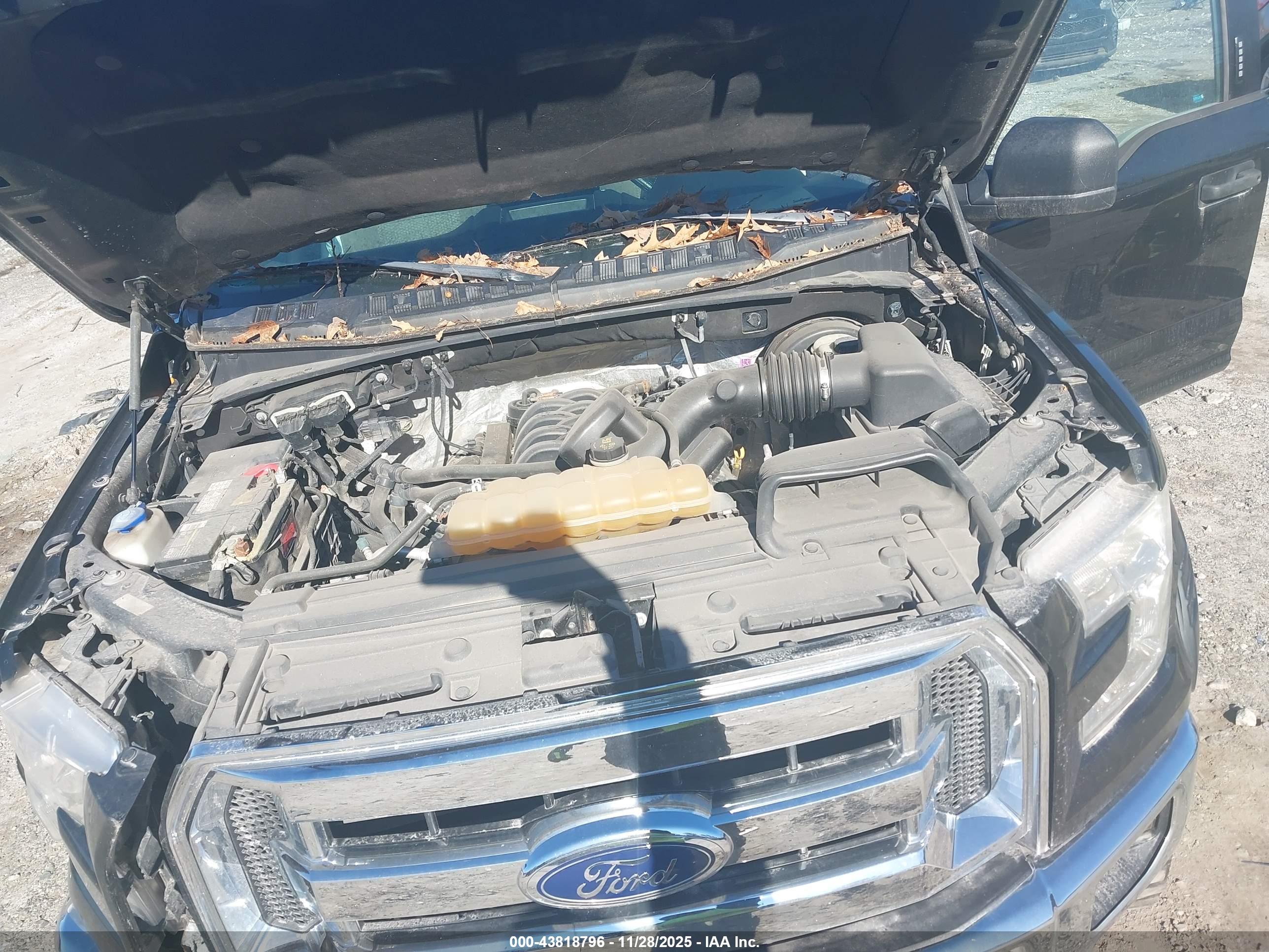 FORD F-150 image 10