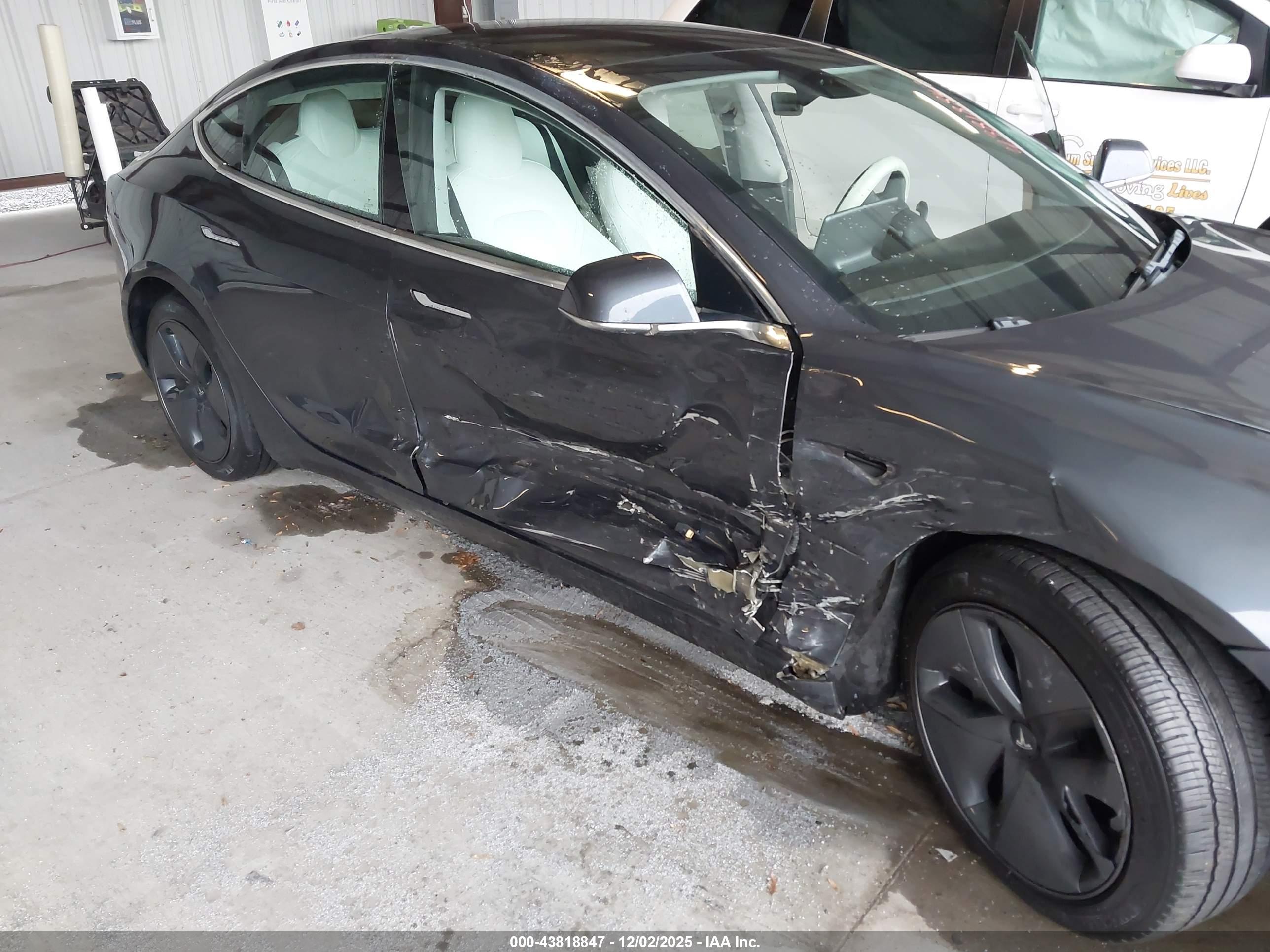 TESLA MODEL image 6