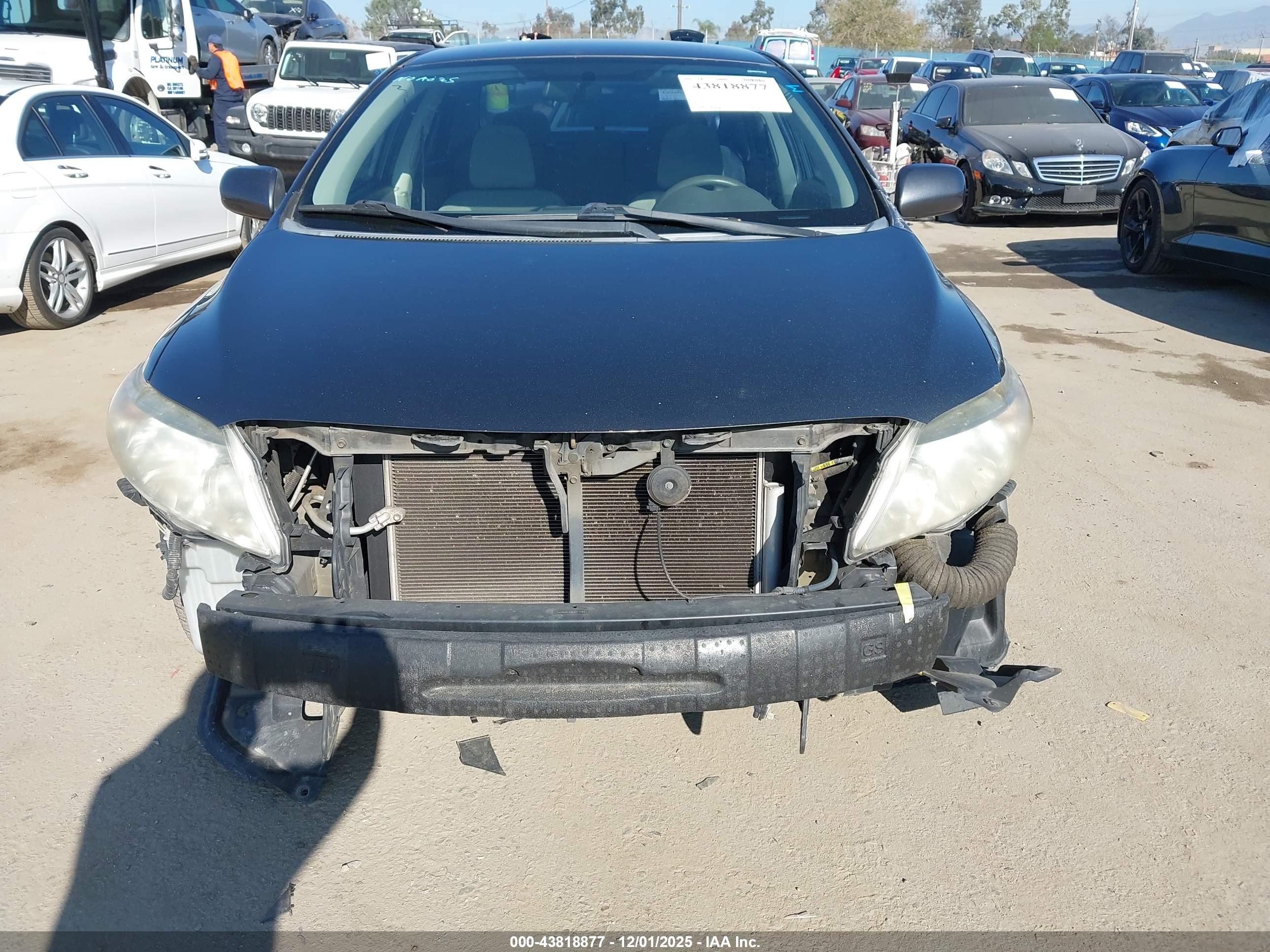TOYOTA COROLLA image 6