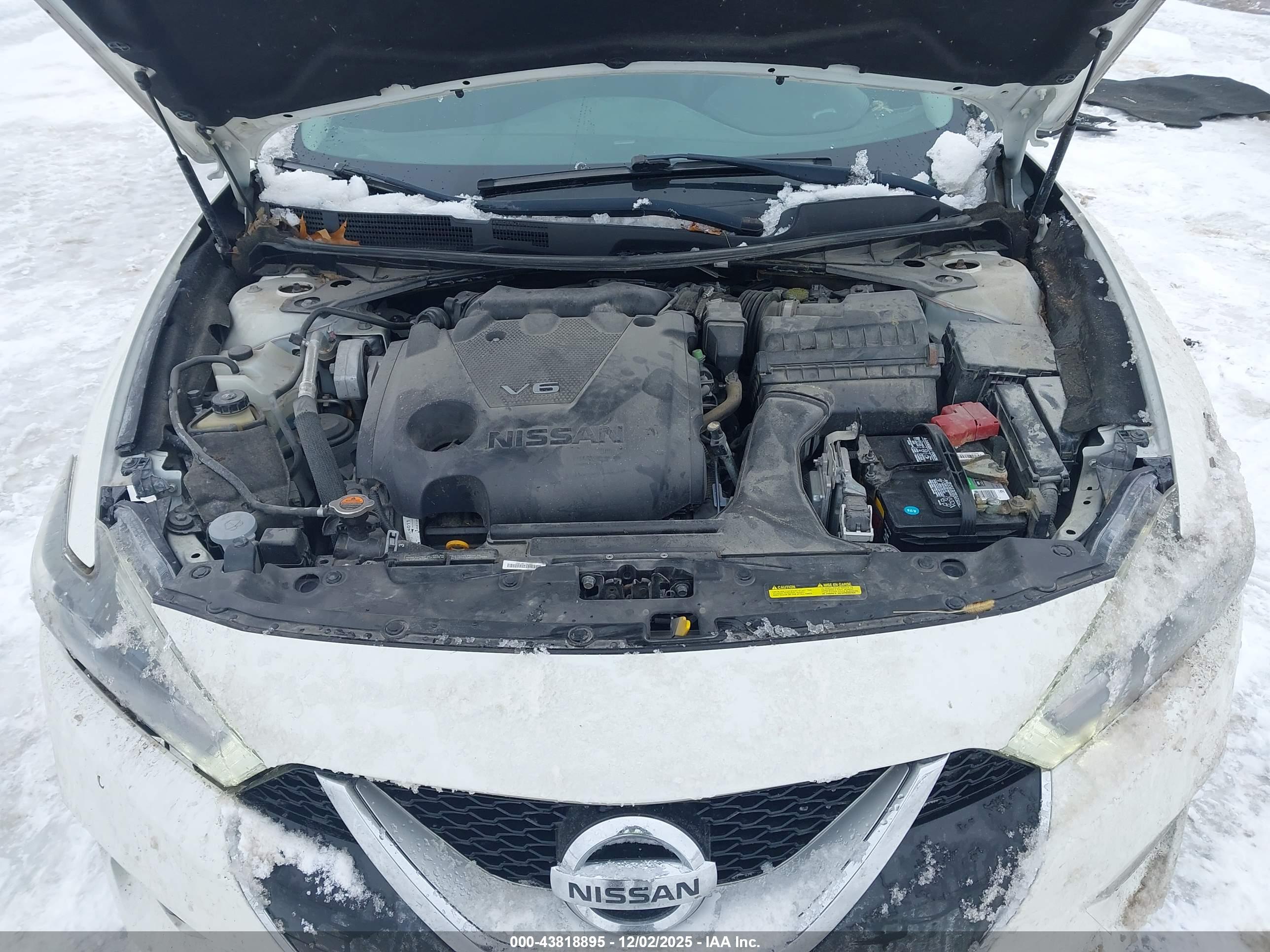 NISSAN MAXIMA image 10