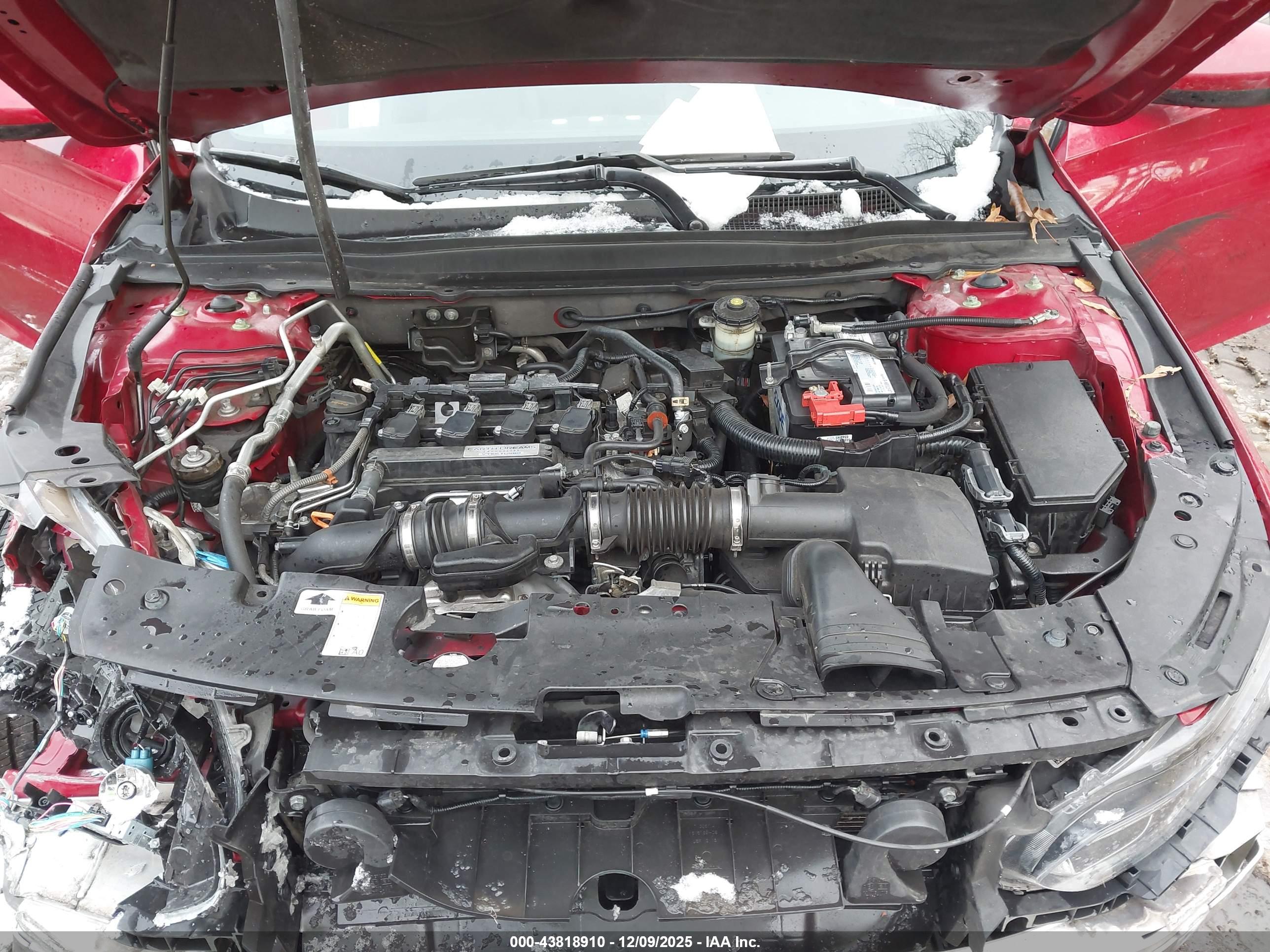 HONDA ACCORD image 10