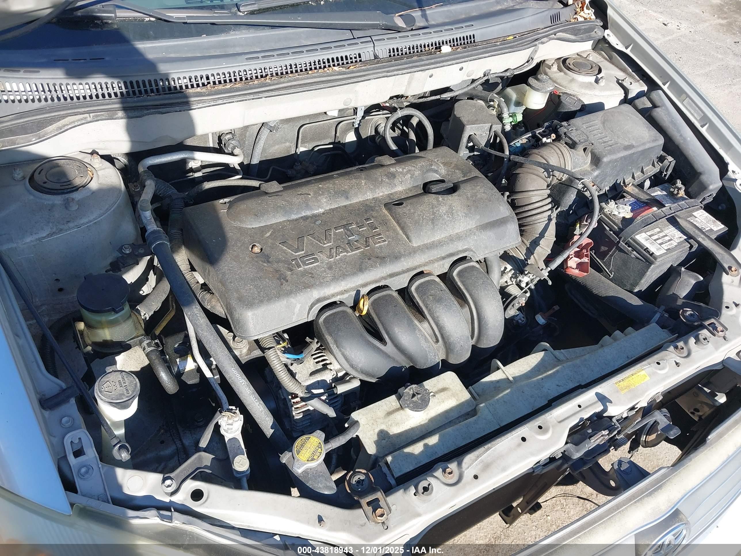 TOYOTA COROLLA image 10