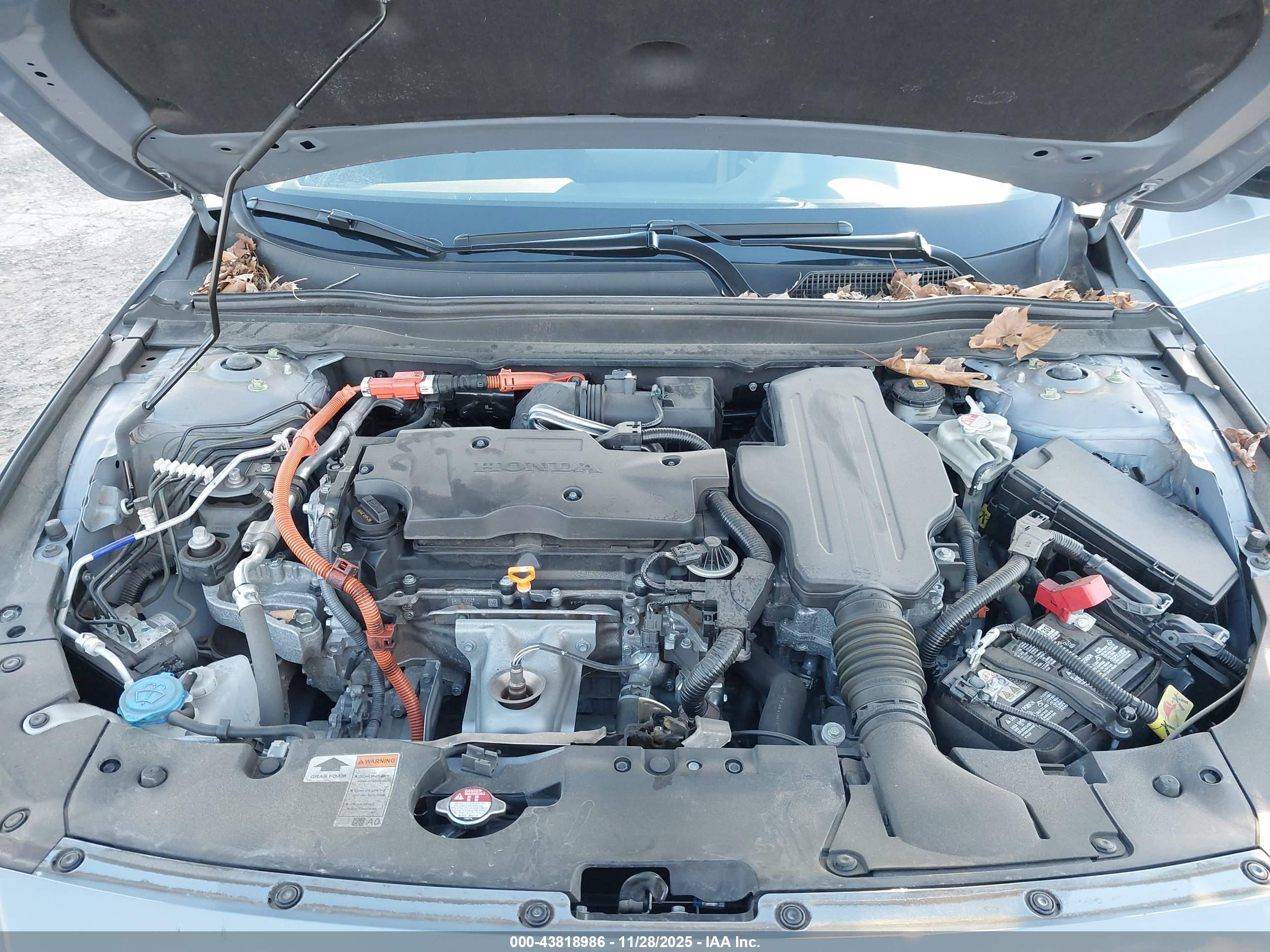 HONDA ACCORD image 10