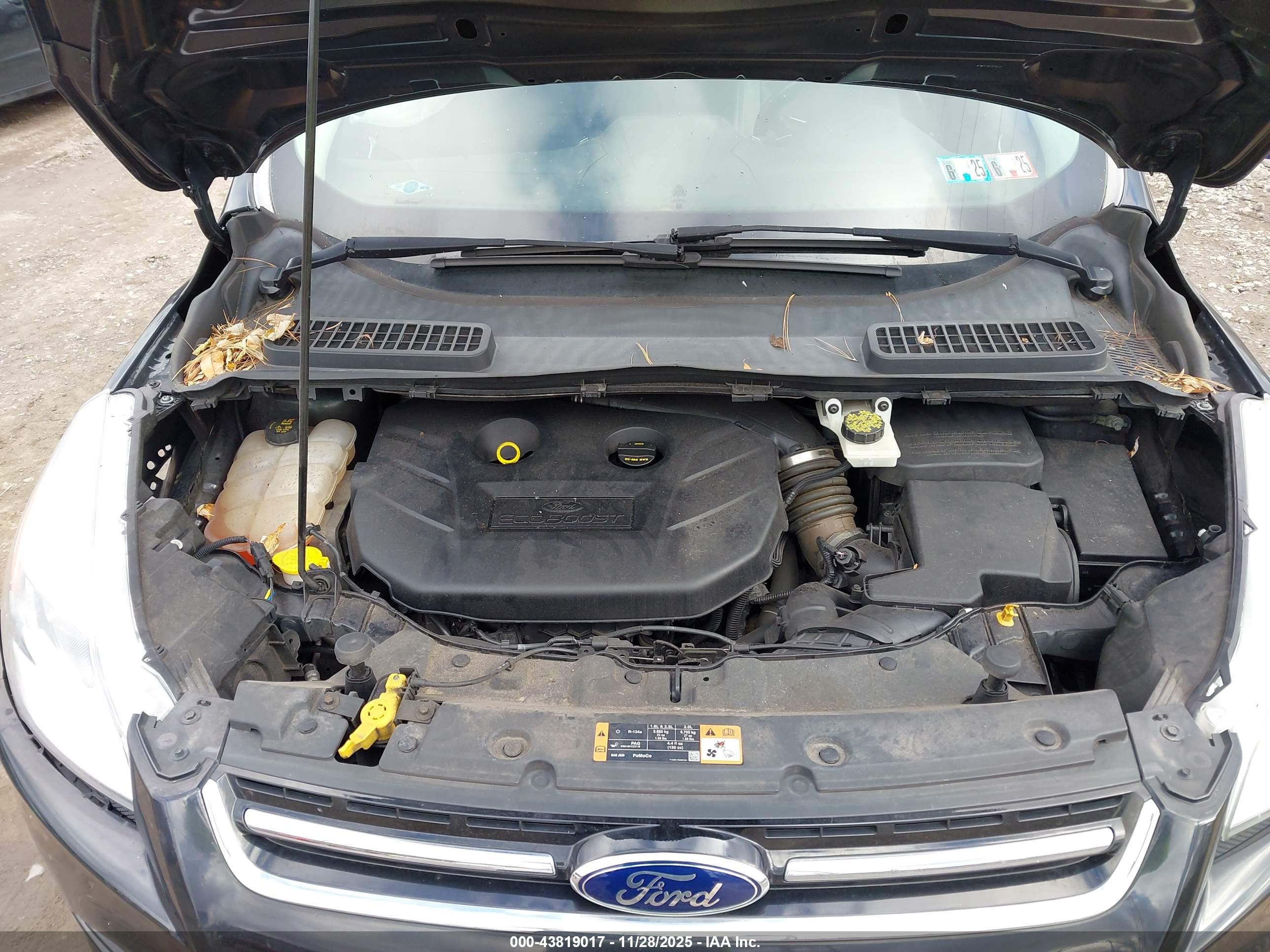 FORD ESCAPE image 10