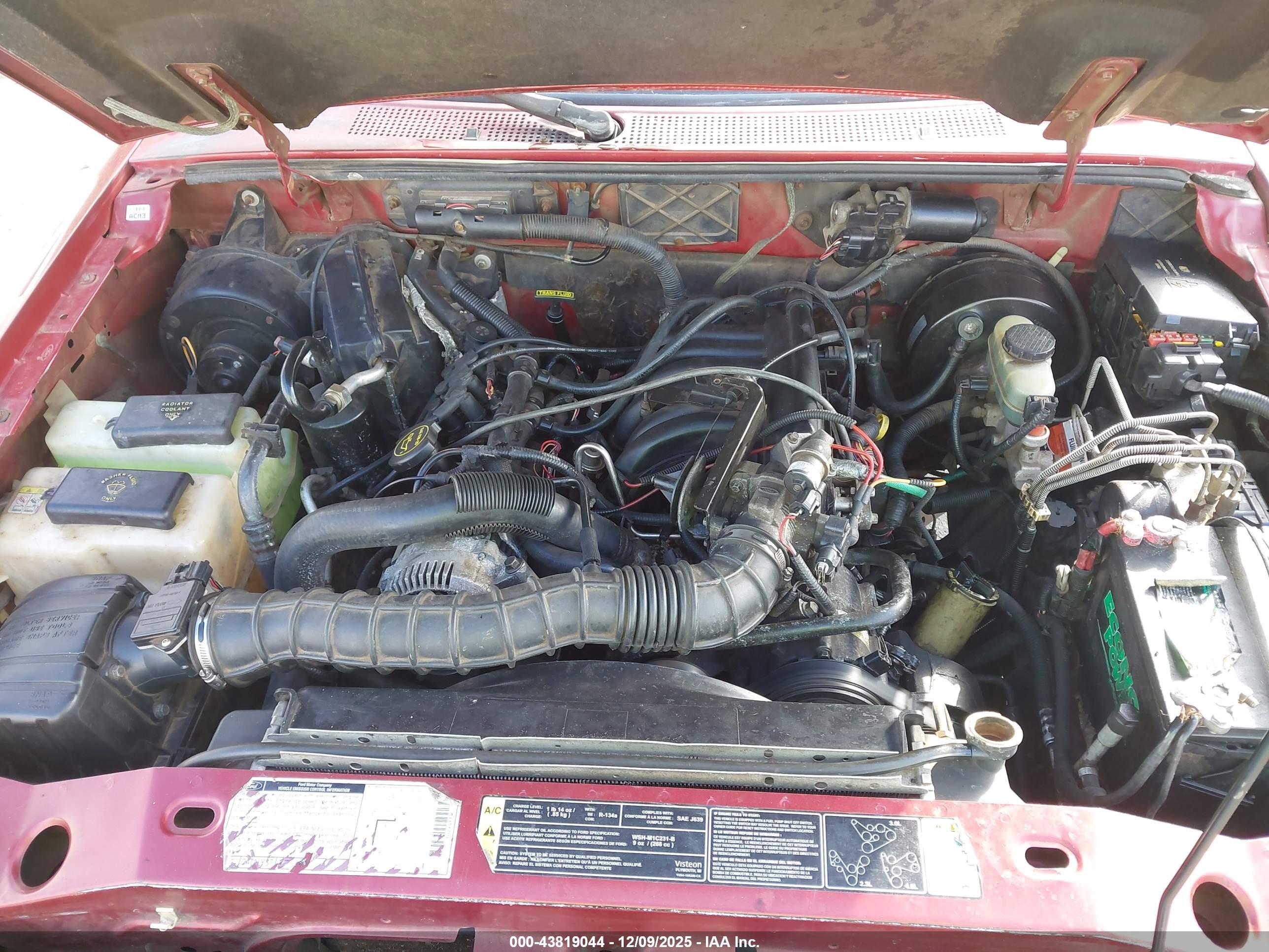 FORD RANGER image 10