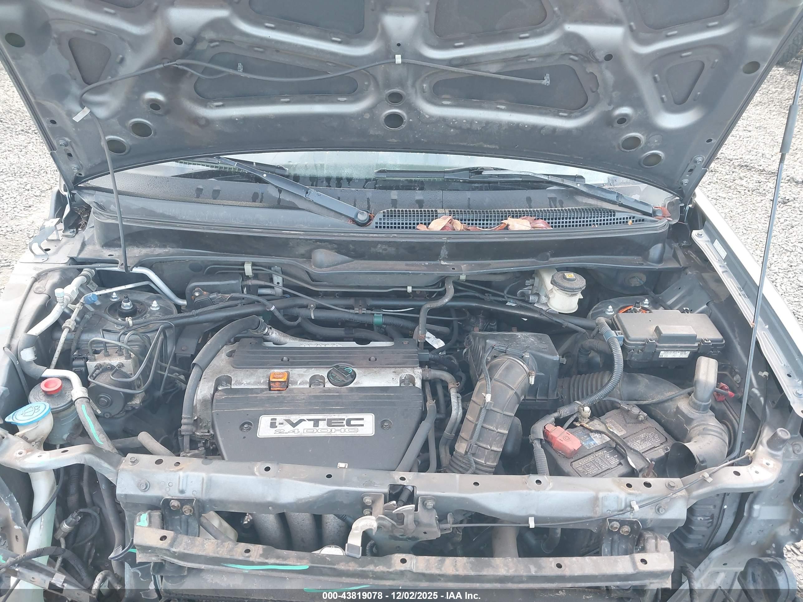 HONDA ELEMENT image 10
