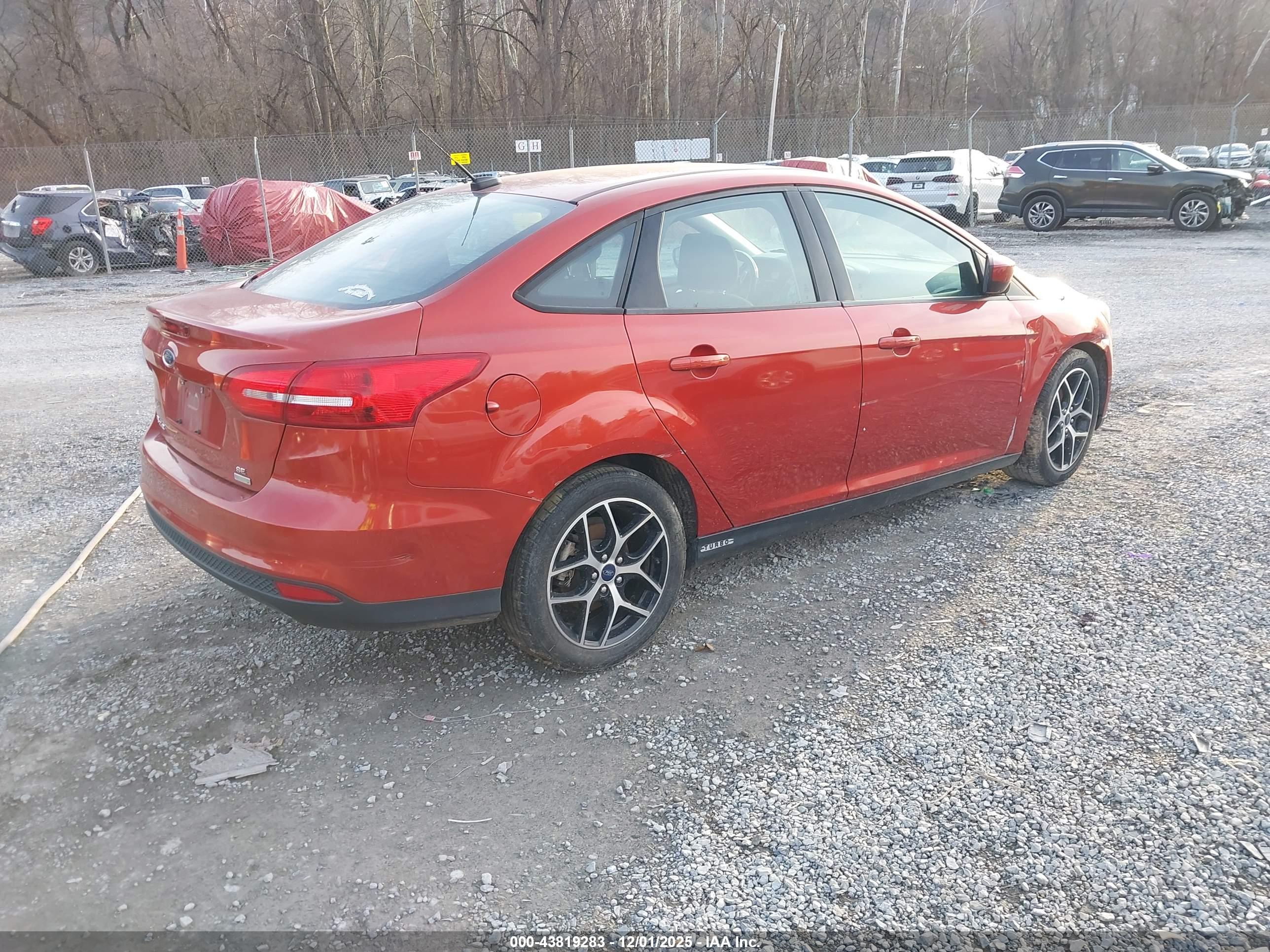 FORD FOCUS image 4