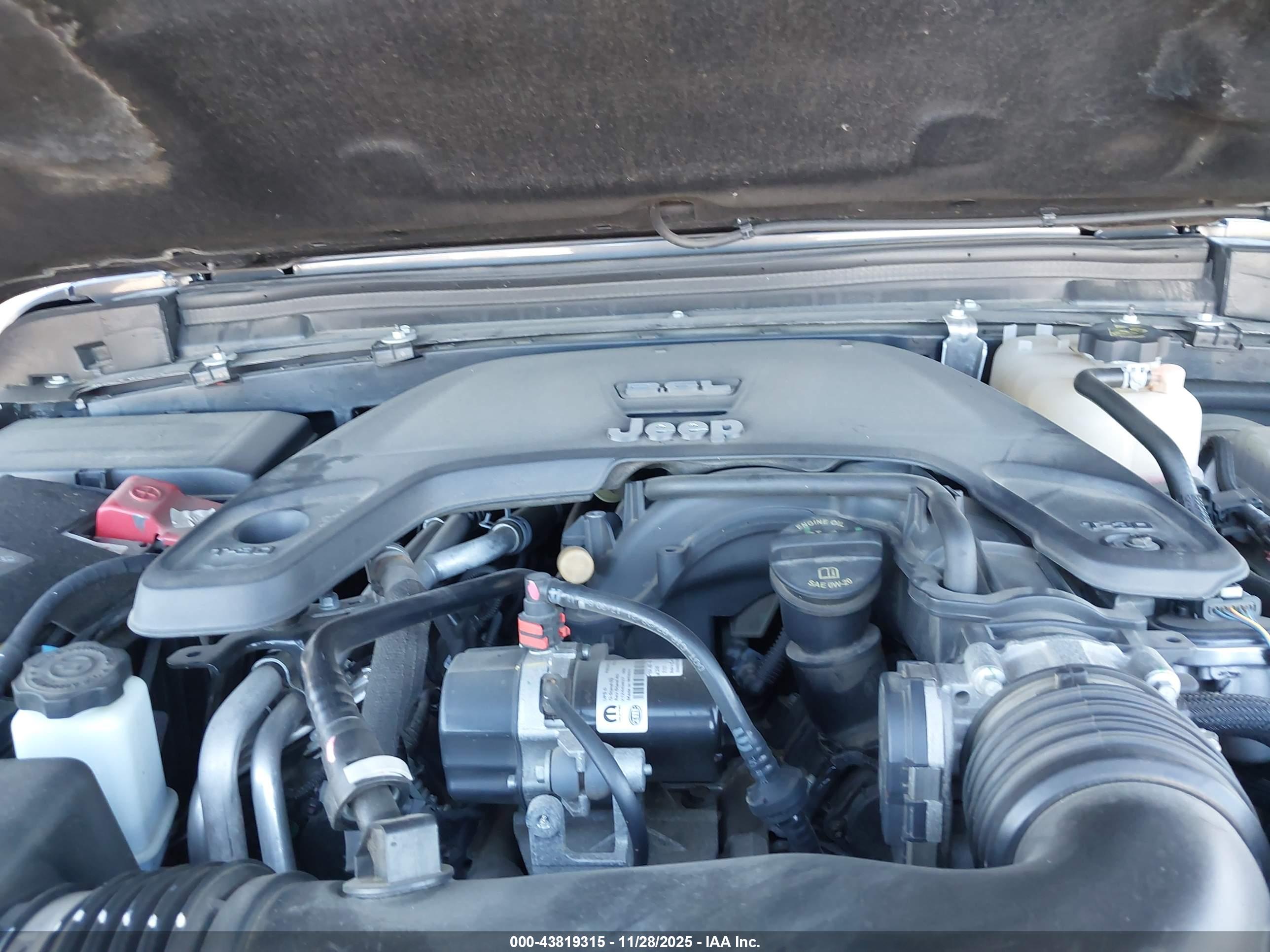 JEEP WRANGLER image 10